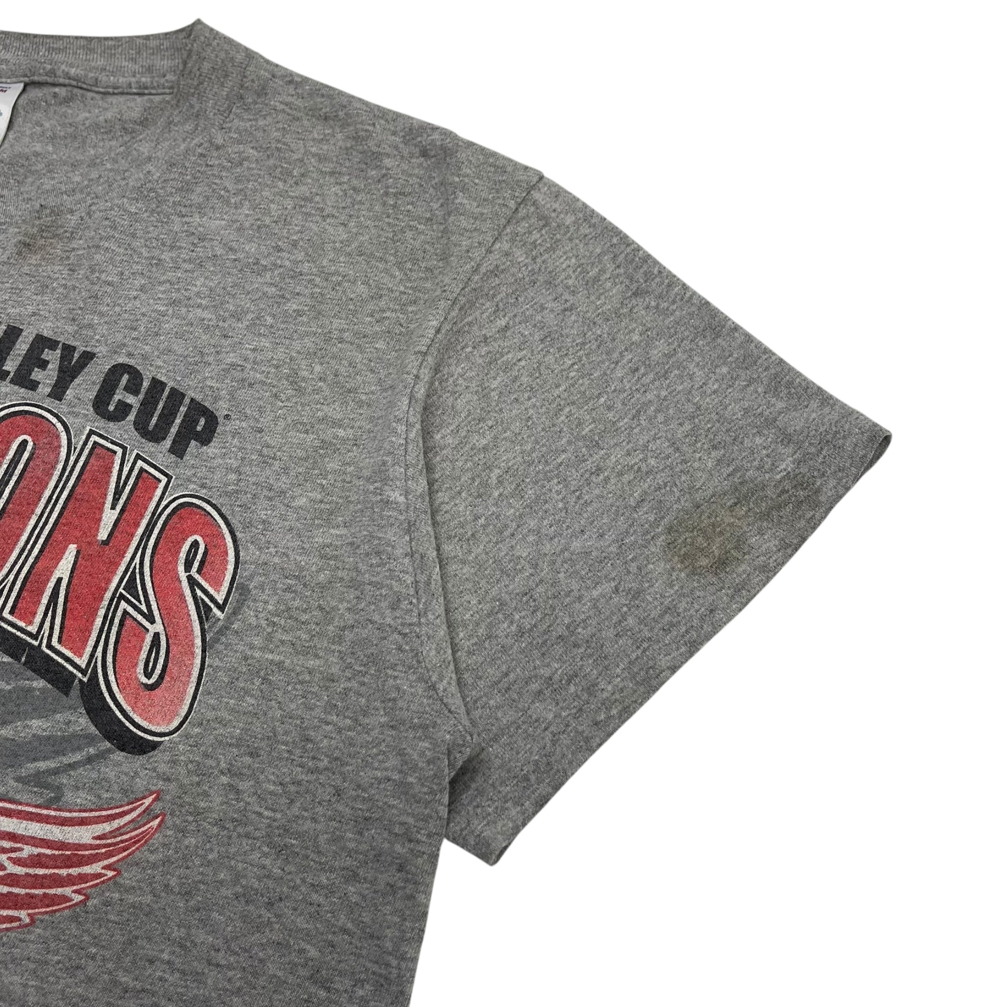 2002 Detroit Red Wings Stanley Cup Champions T-Shirt