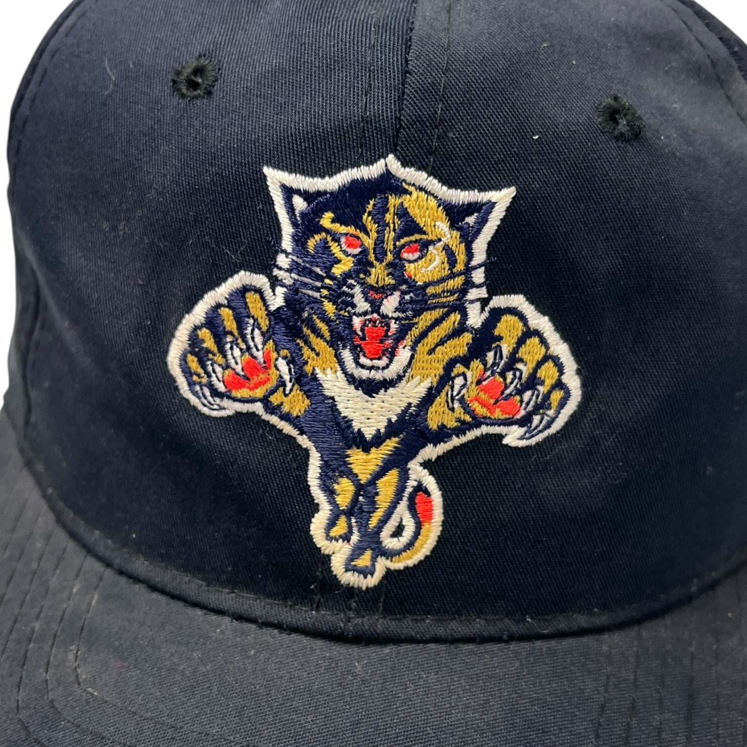 Vintage Florida Panthers Starter Snap Back