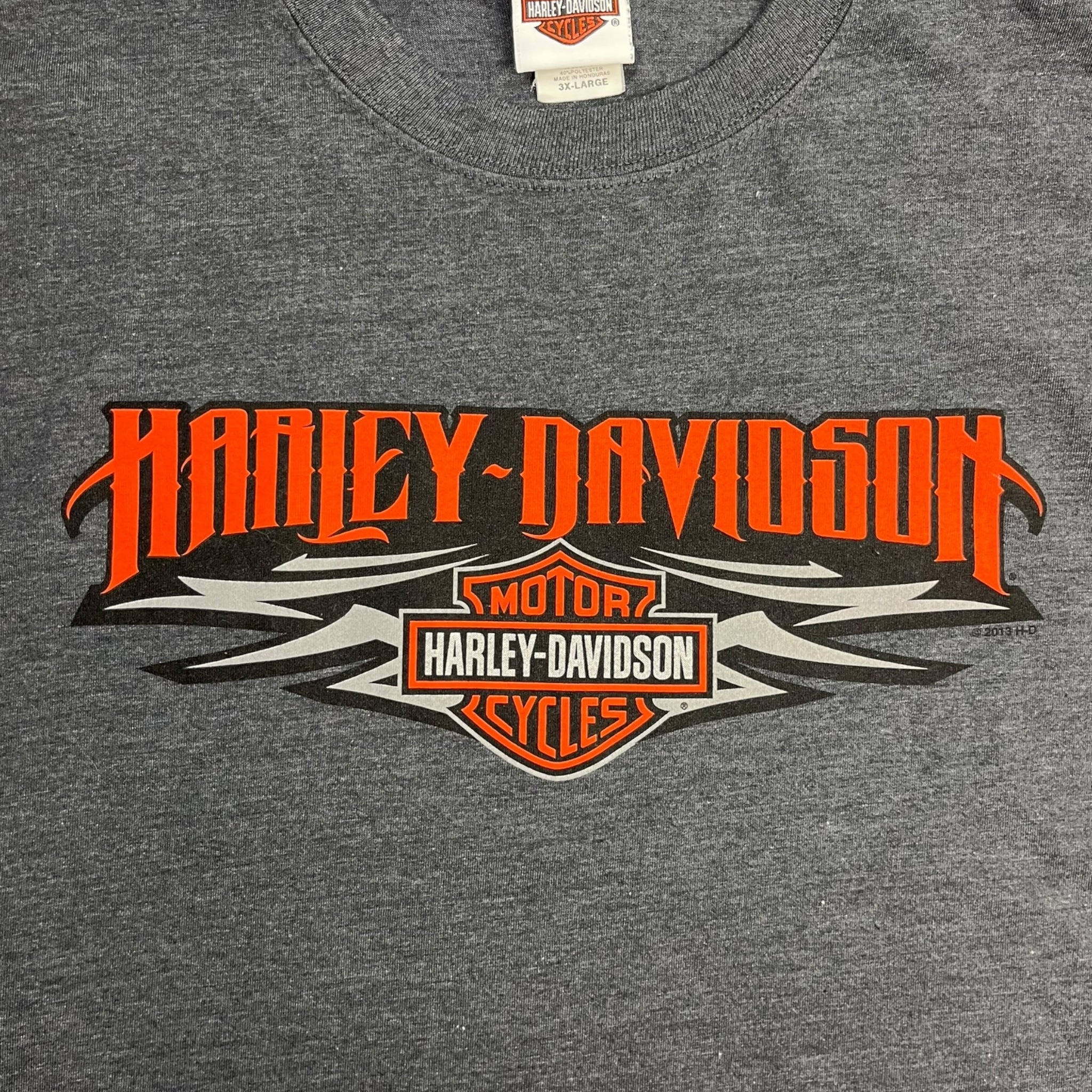 Harley Davidson Buffalo & Northern Lights Longsleeve T-Shirt