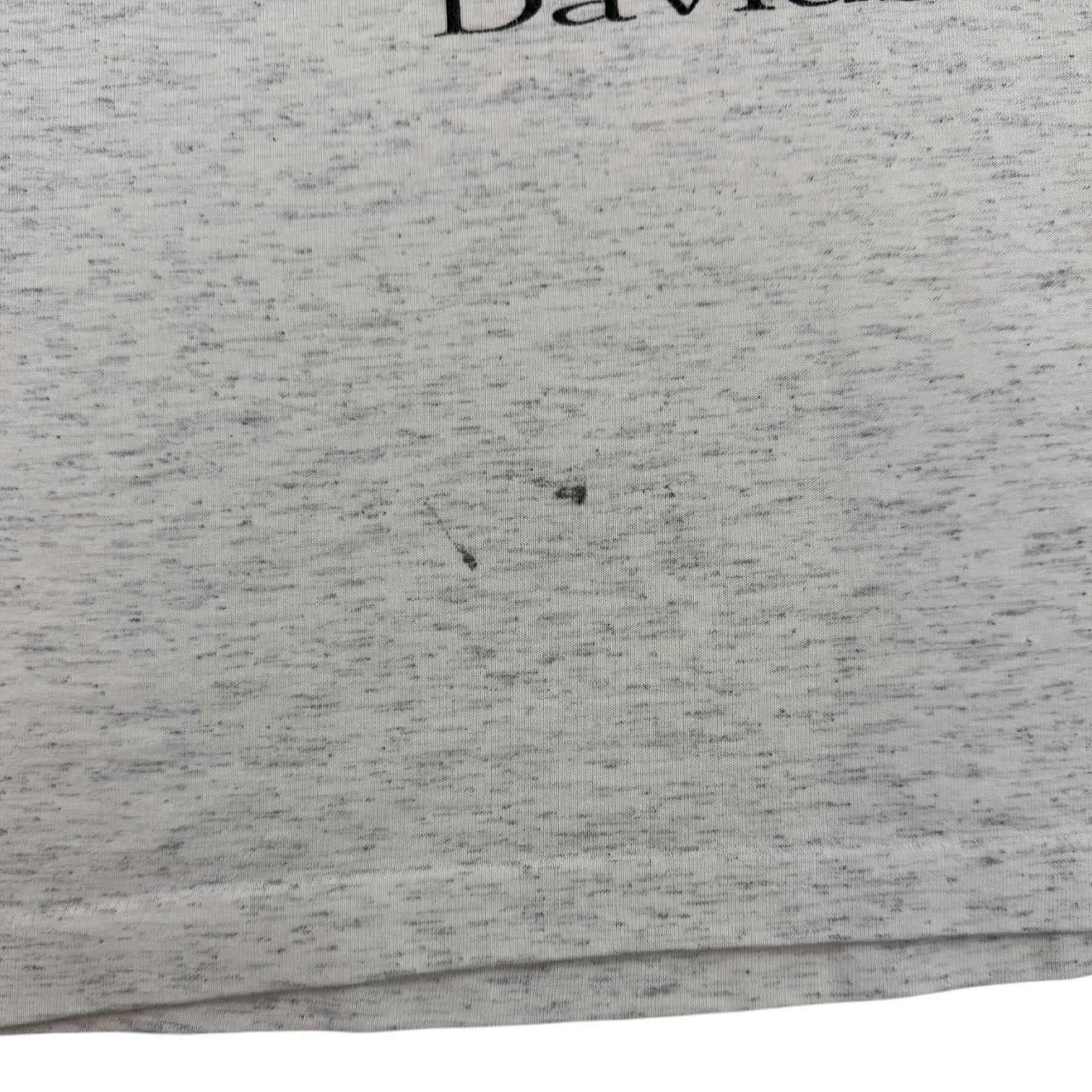 Vintage Harley Davidson Eagle T-Shirt Grey
