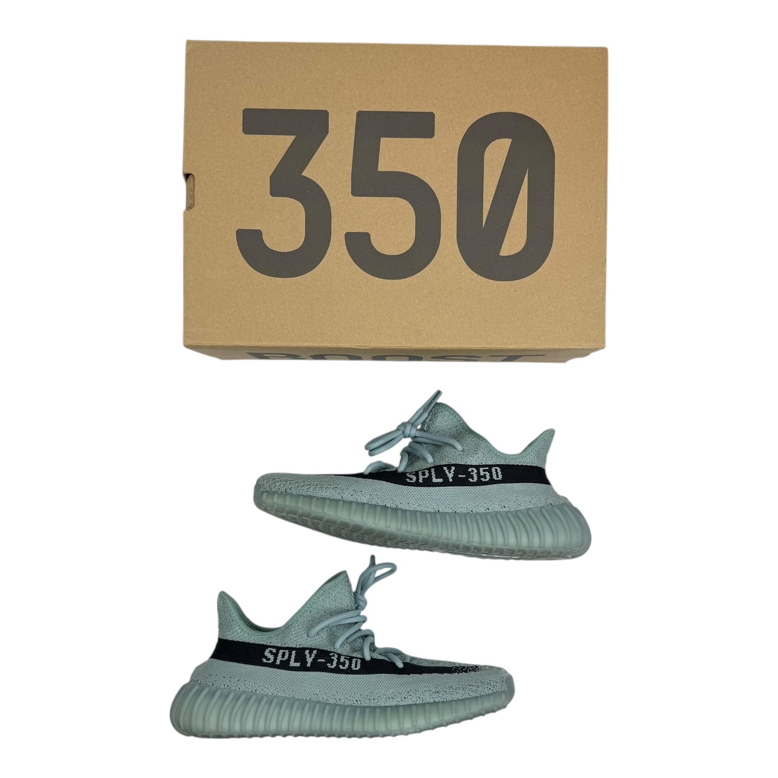 Adidas Yeezy Boost 350 V2 Salt (Used)