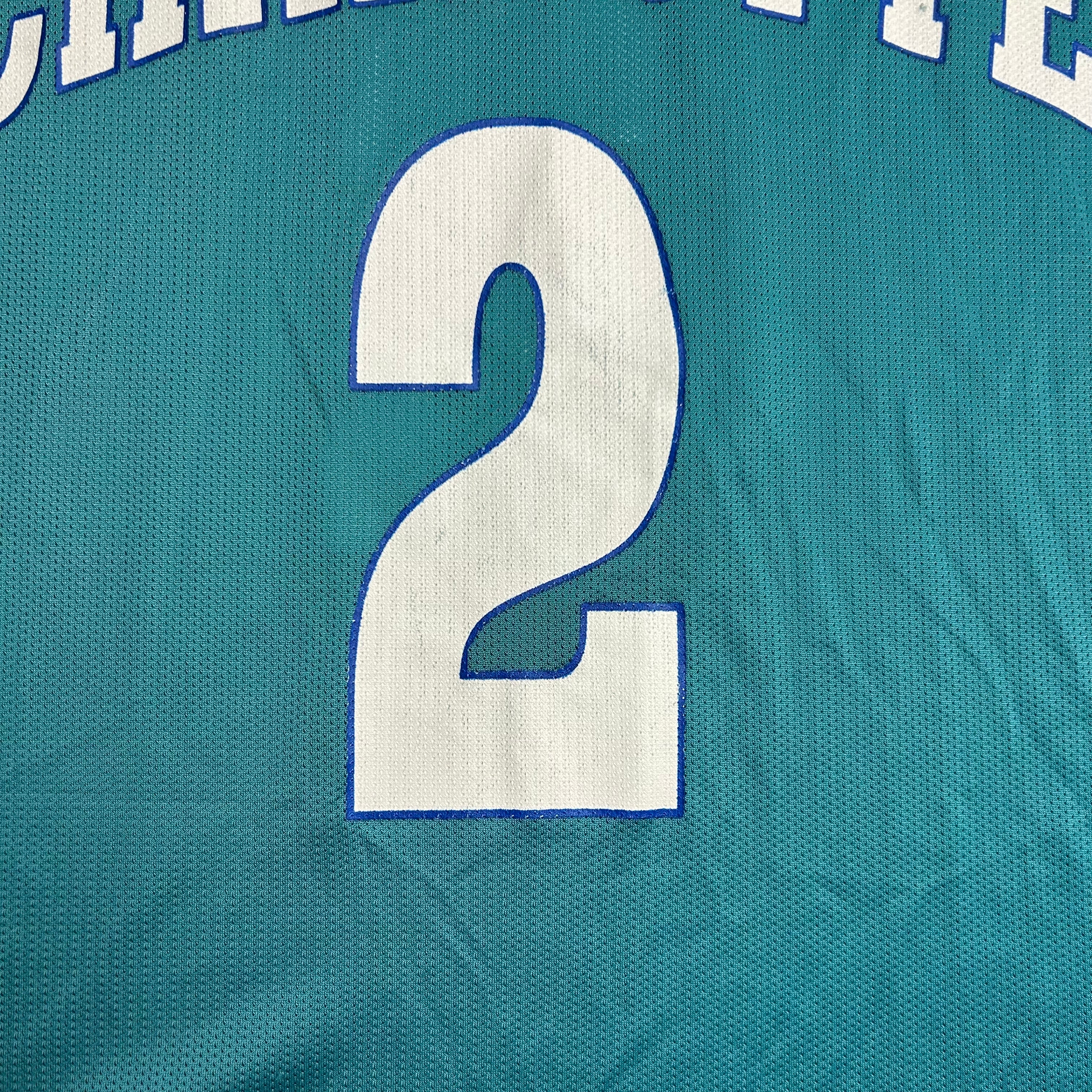 Vintage Charlotte Hornets Larry Johnson Basketball Jersey