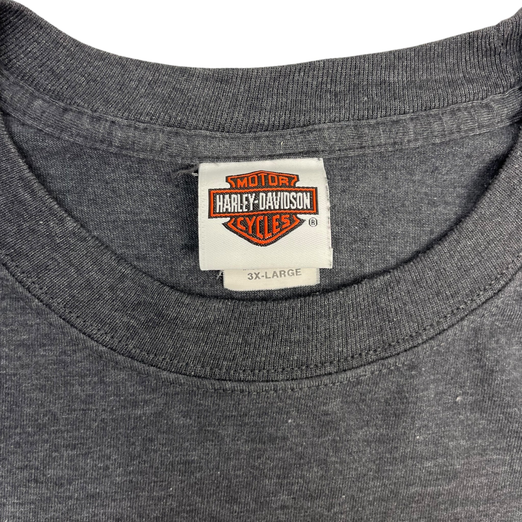 Harley Davidson Buffalo & Northern Lights Longsleeve T-Shirt