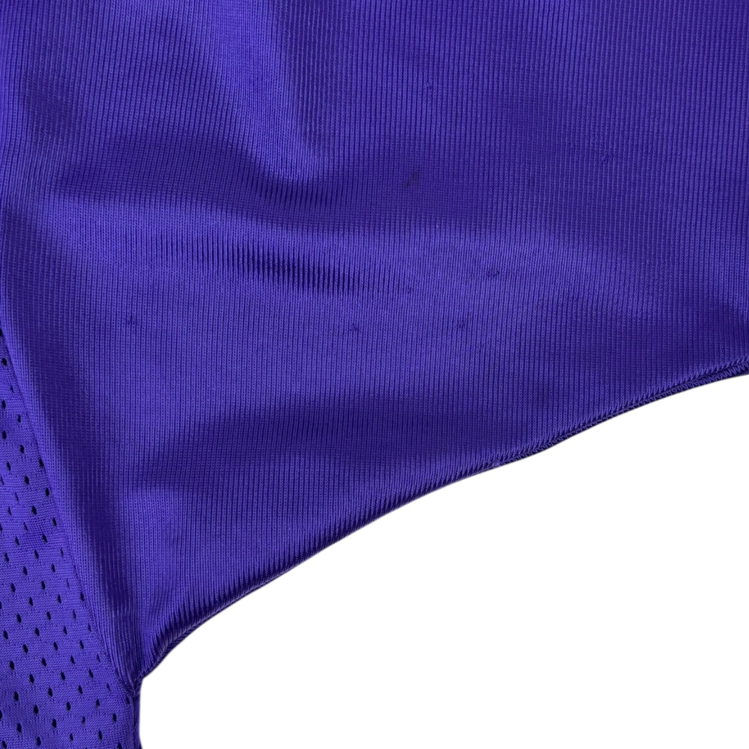 Vintage Champion Minnesota Vikings Leroy Hoard Jersey Purple