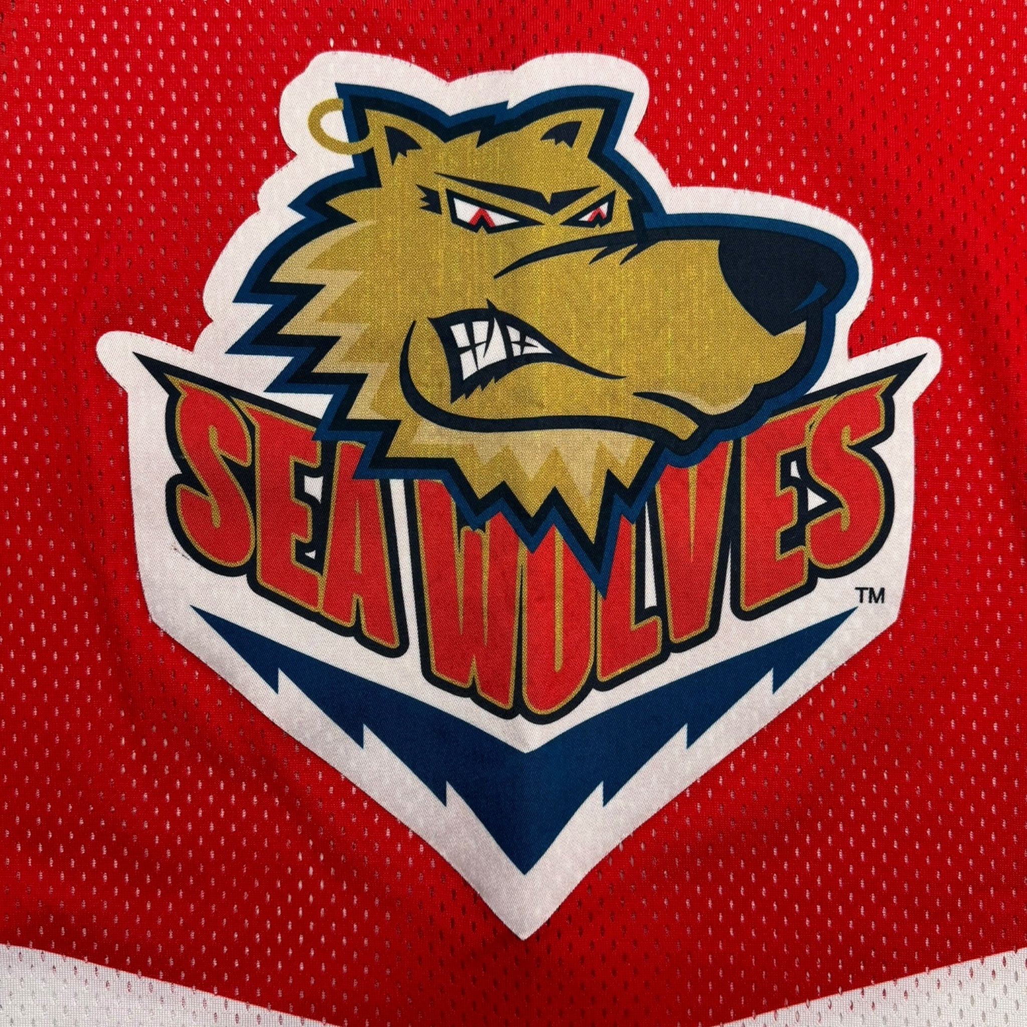 Vintage Mississippi Seawolves Jersey