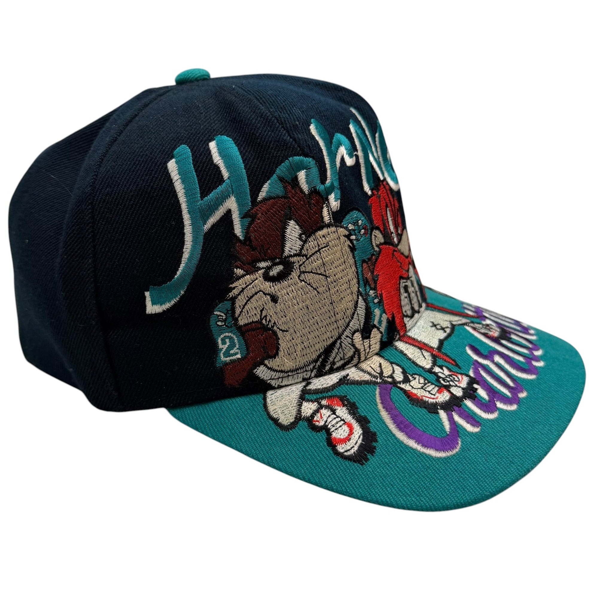 Vintage Charolette Hortnets Looney Tunes Embroidered Snapback Hat Multicolor