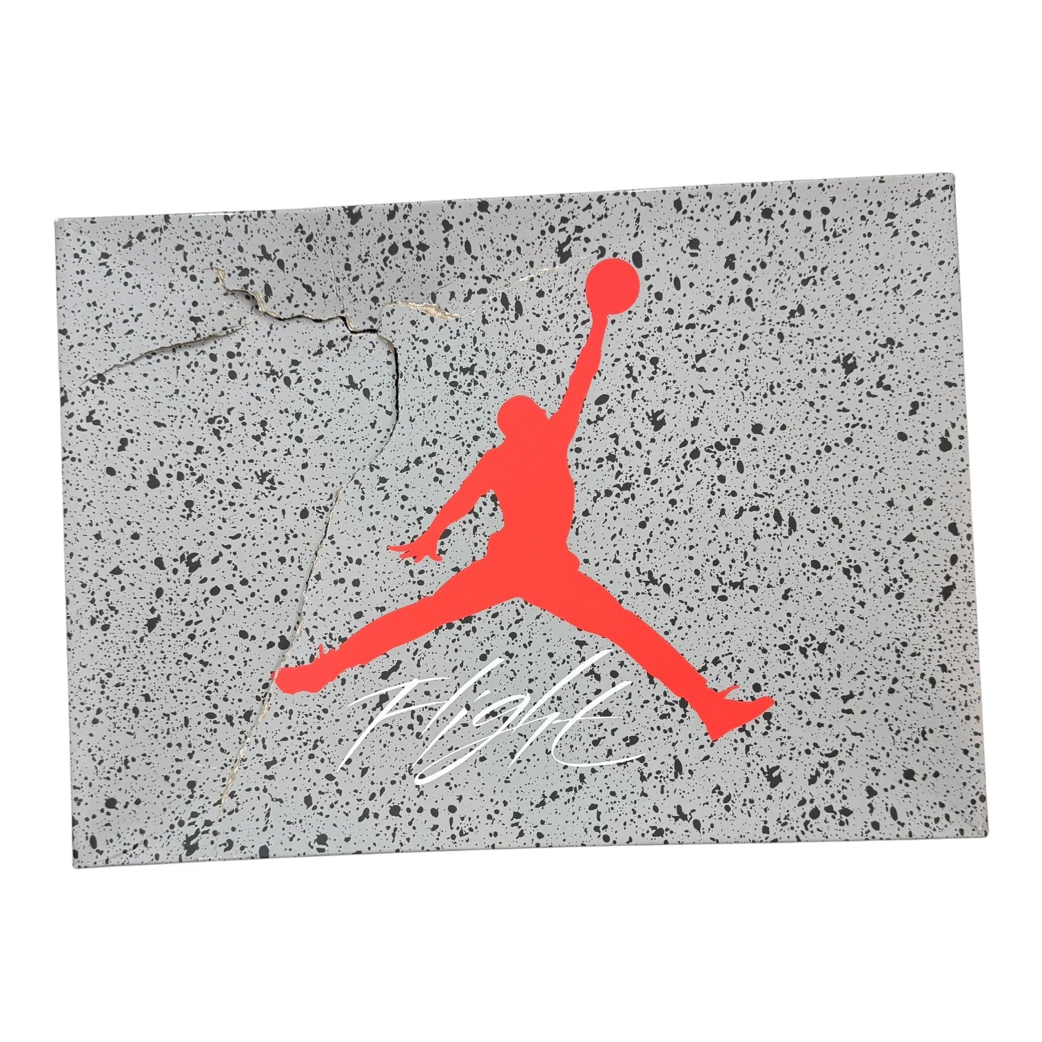 Jordan 4 Bred Reimagined