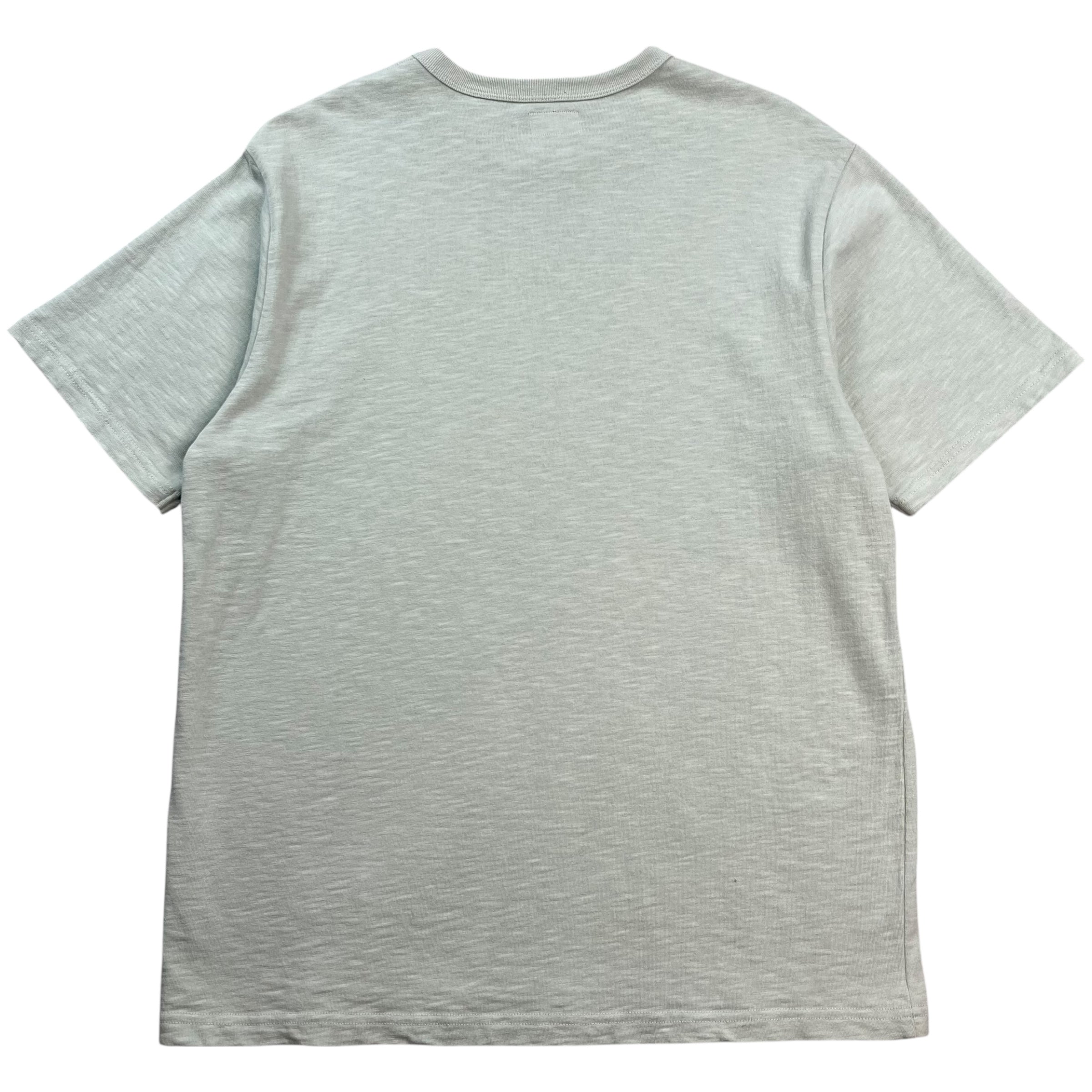 Supreme Blurred Arc Tee Pale Green