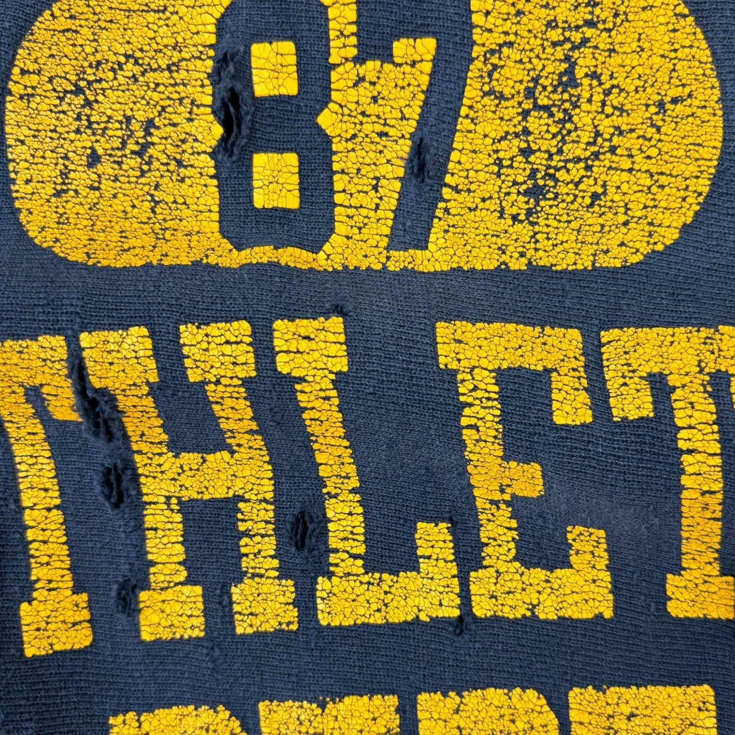 Vintage 80s Champion Reverse Weave University of Iowa Crewneck Navy
