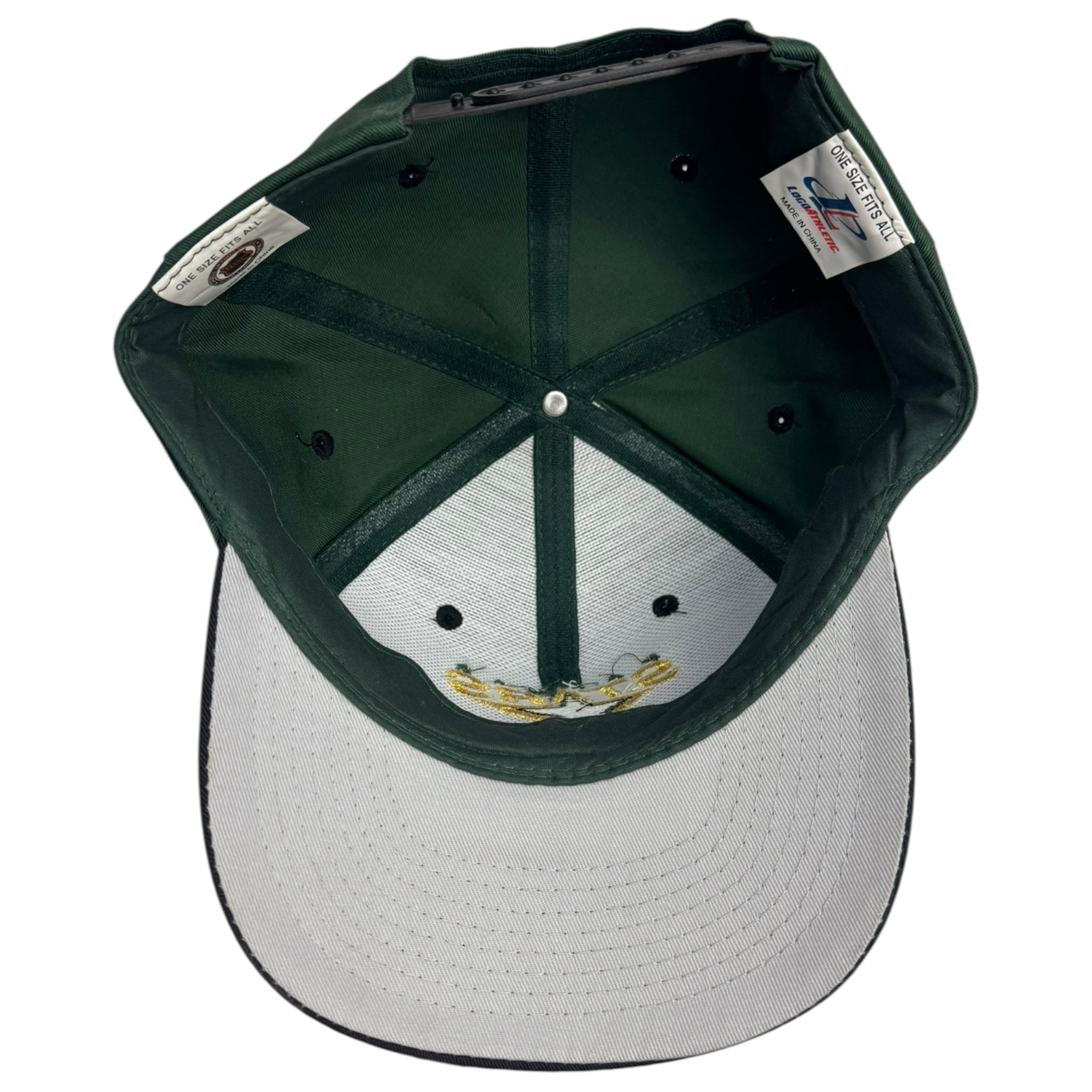 Vintage Dallas Stars Logo Athletic Snap Back Hat
