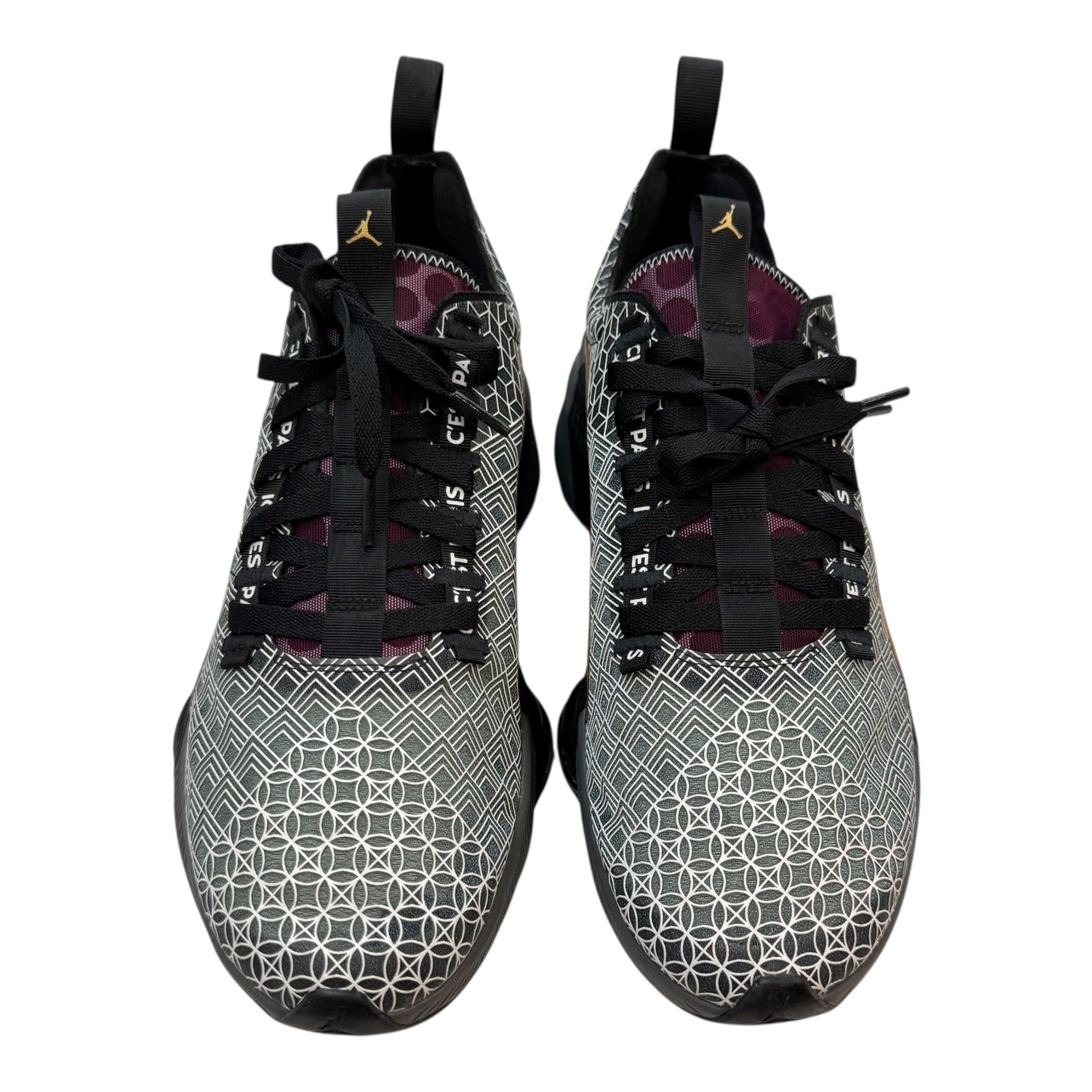 Jordan Zoom Renegade PSG (2020) (Used)