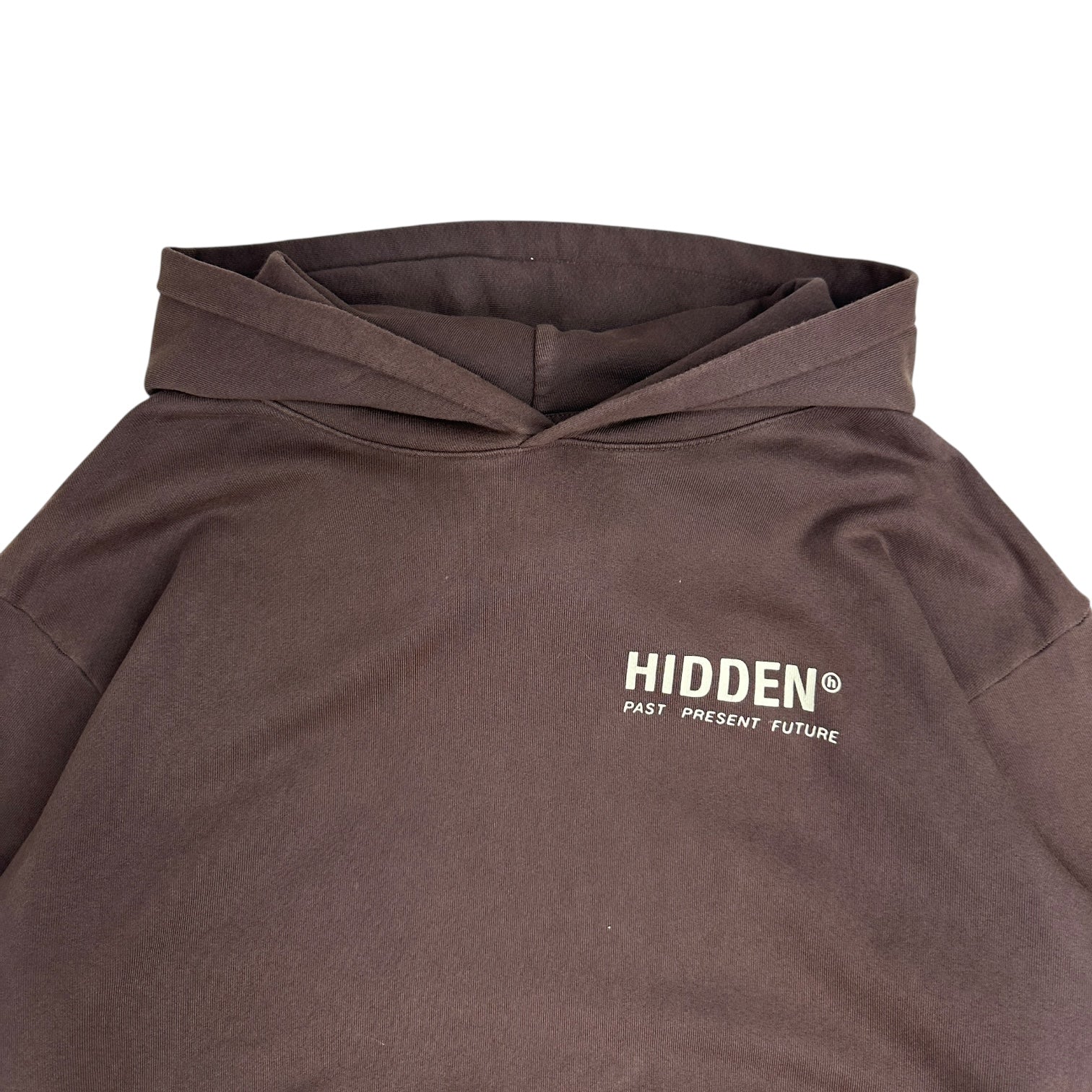 Hidden NY Past Present Future Farming Hoodie Brown