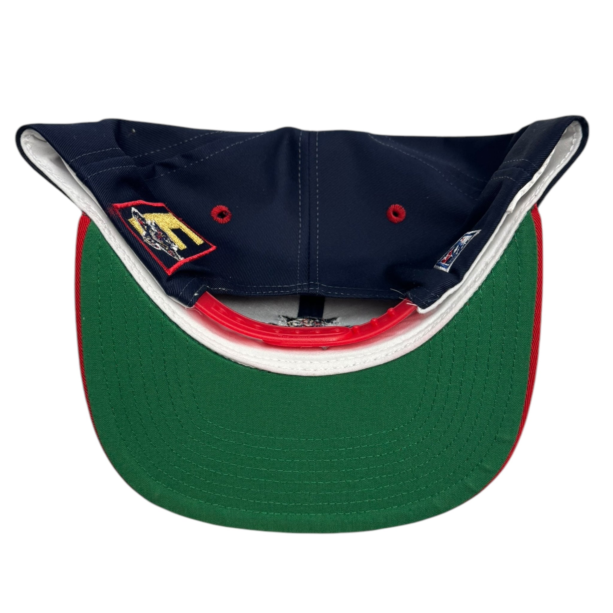 Vintage Florida Panthers The Game Snapback Hat