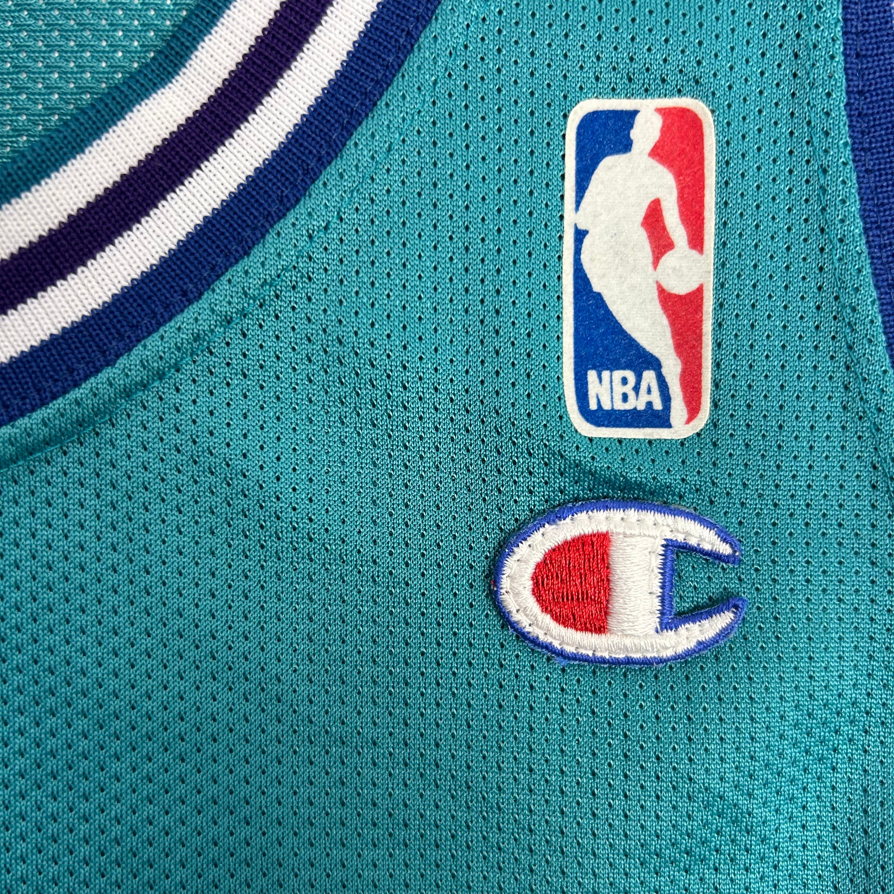 Vintage Charlotte Hornets Larry Johnson Basketball Jersey