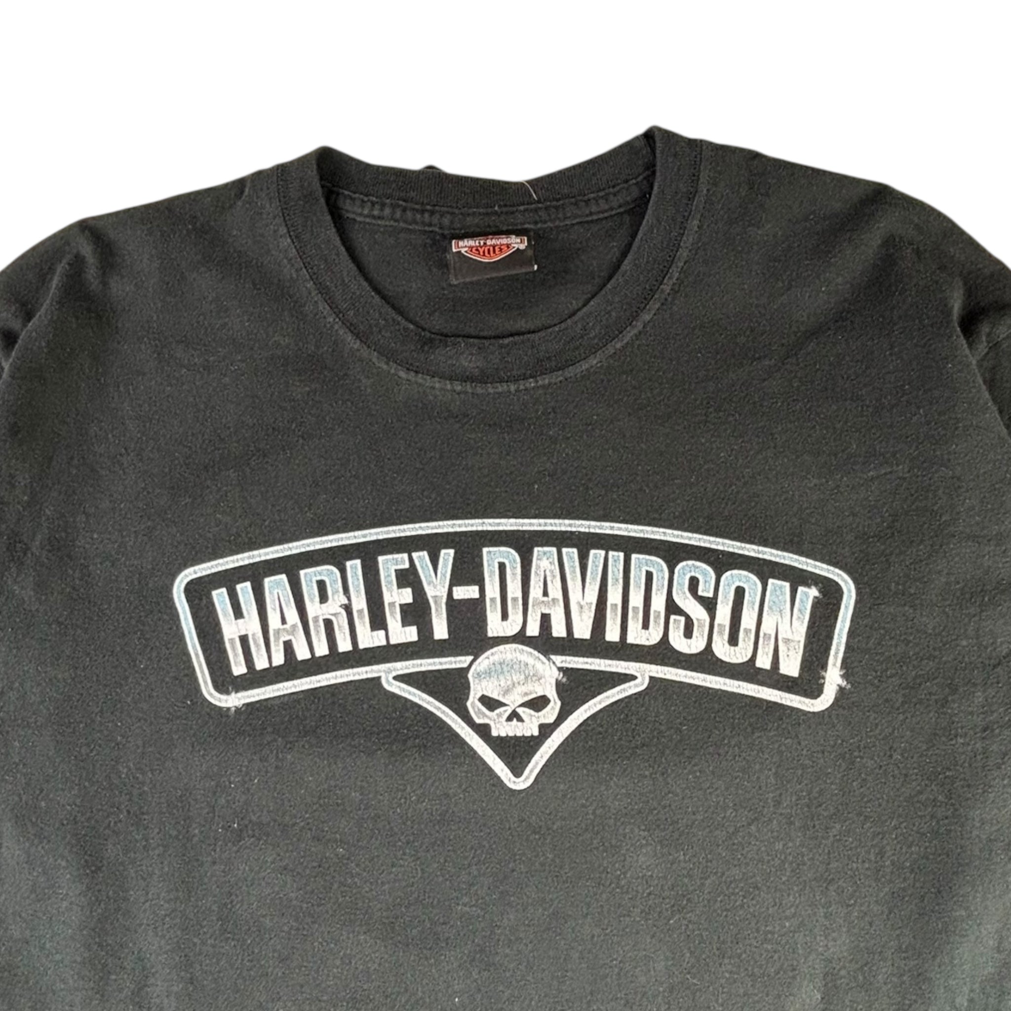 Vintage Harley Davidson Bergdale Albert Lea. MN Longsleeve T-Shirt