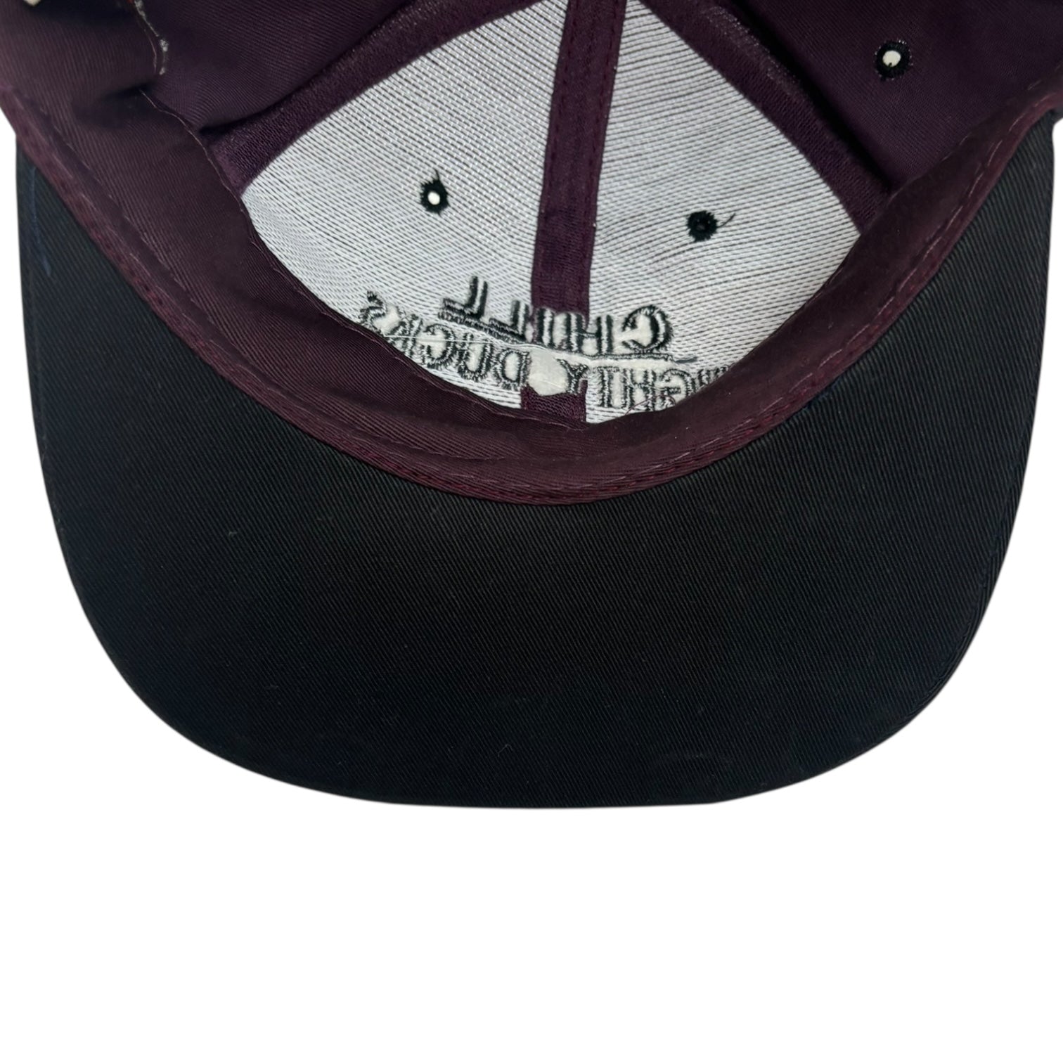 Vintage Chill Mighty Ducks SnapBack Hat Purple