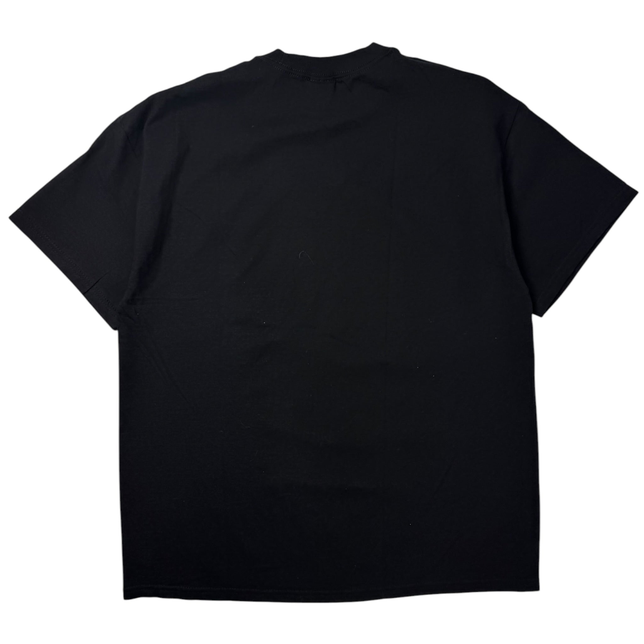 Vintage Y2K Aiden Screamo Band T-Shirt