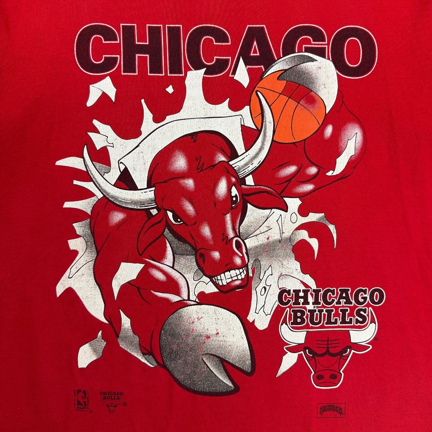 Vintage Nutmeg Chicago Bulls Crash Tee Red