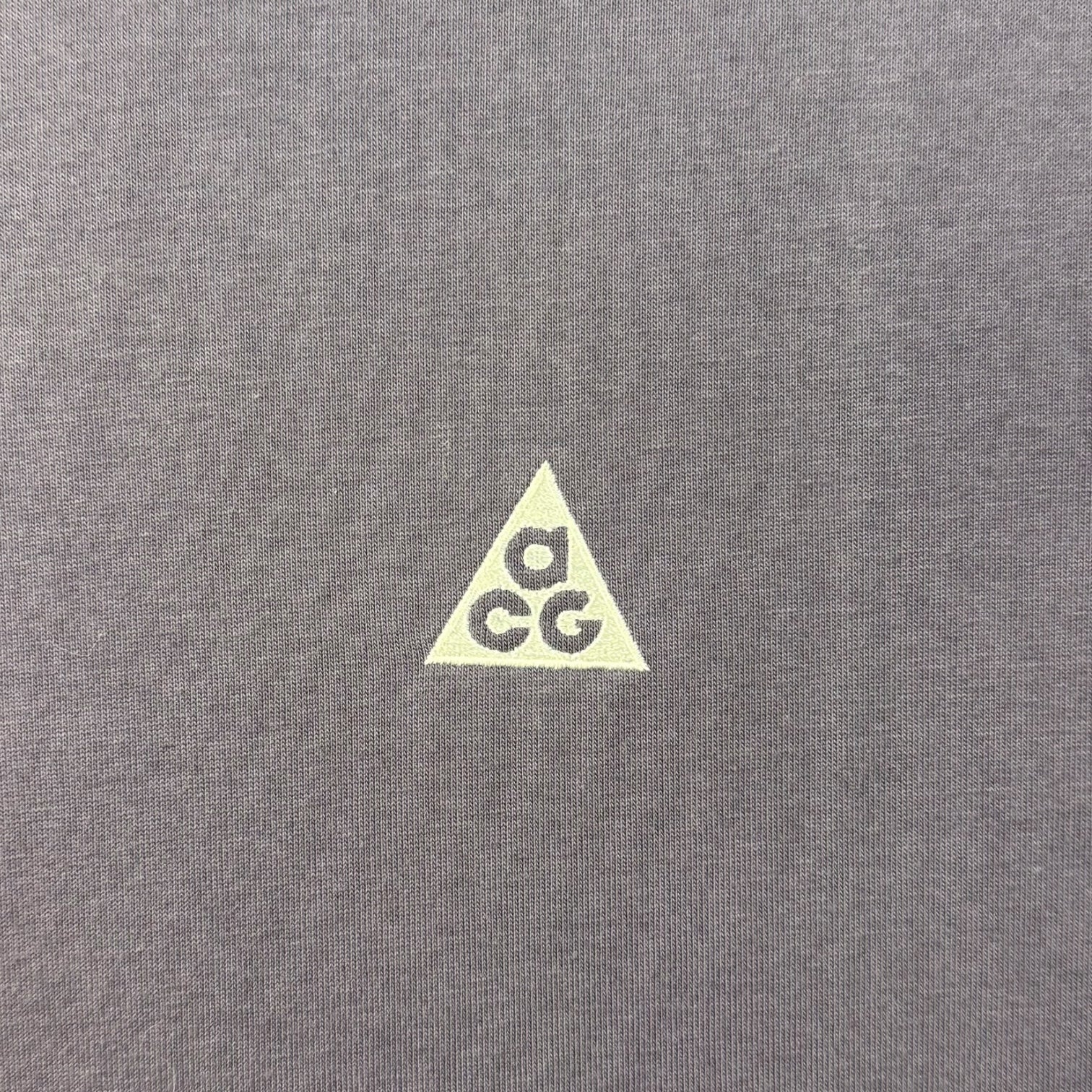 Nike ACG Tee Purple