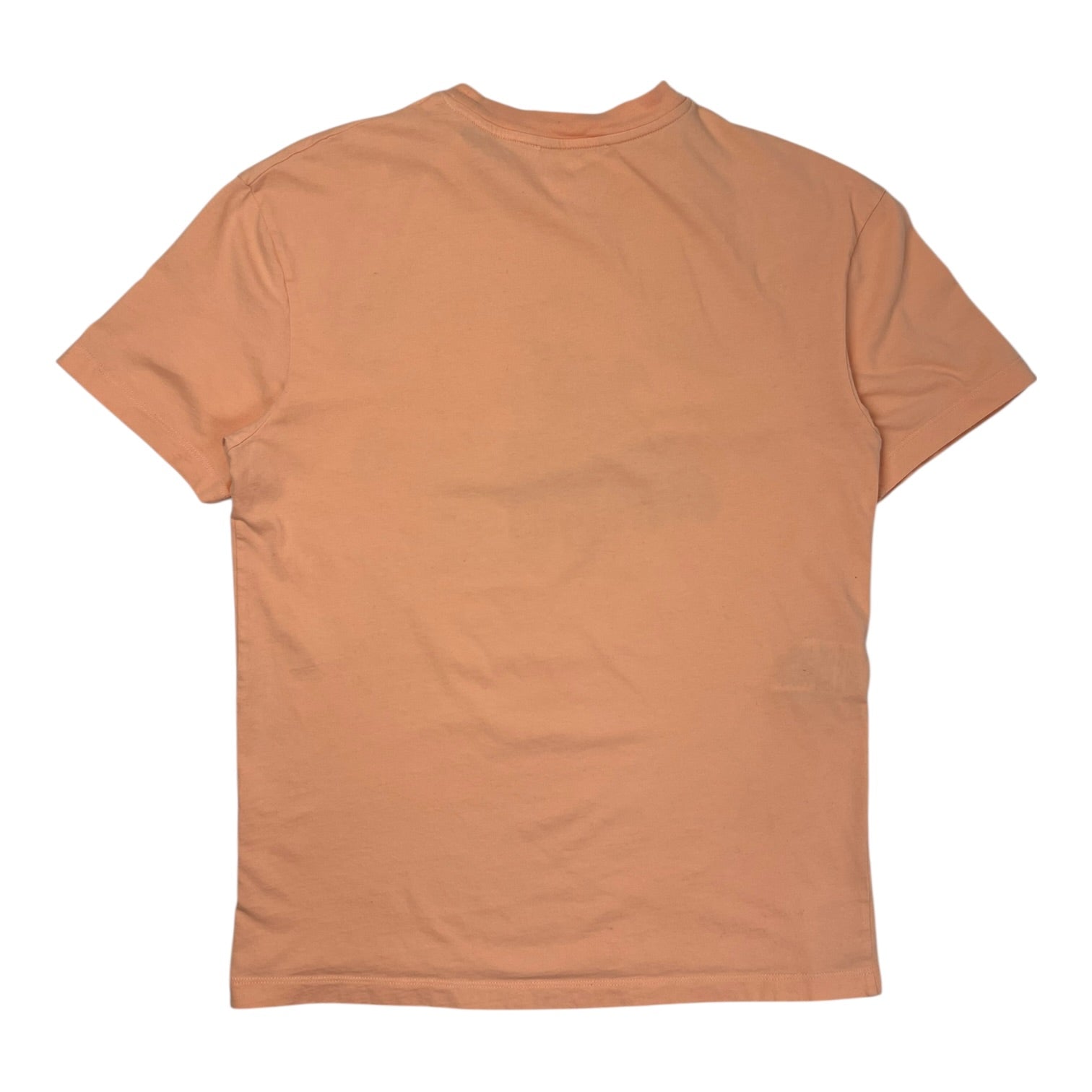 Alexander McQueen Hissing at the Sun T-Shirt Salmon Pink