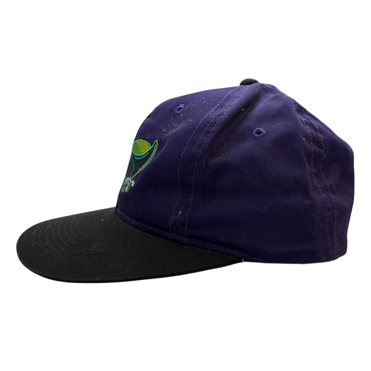 Vintage Tampa Bay Rays Hat Purple