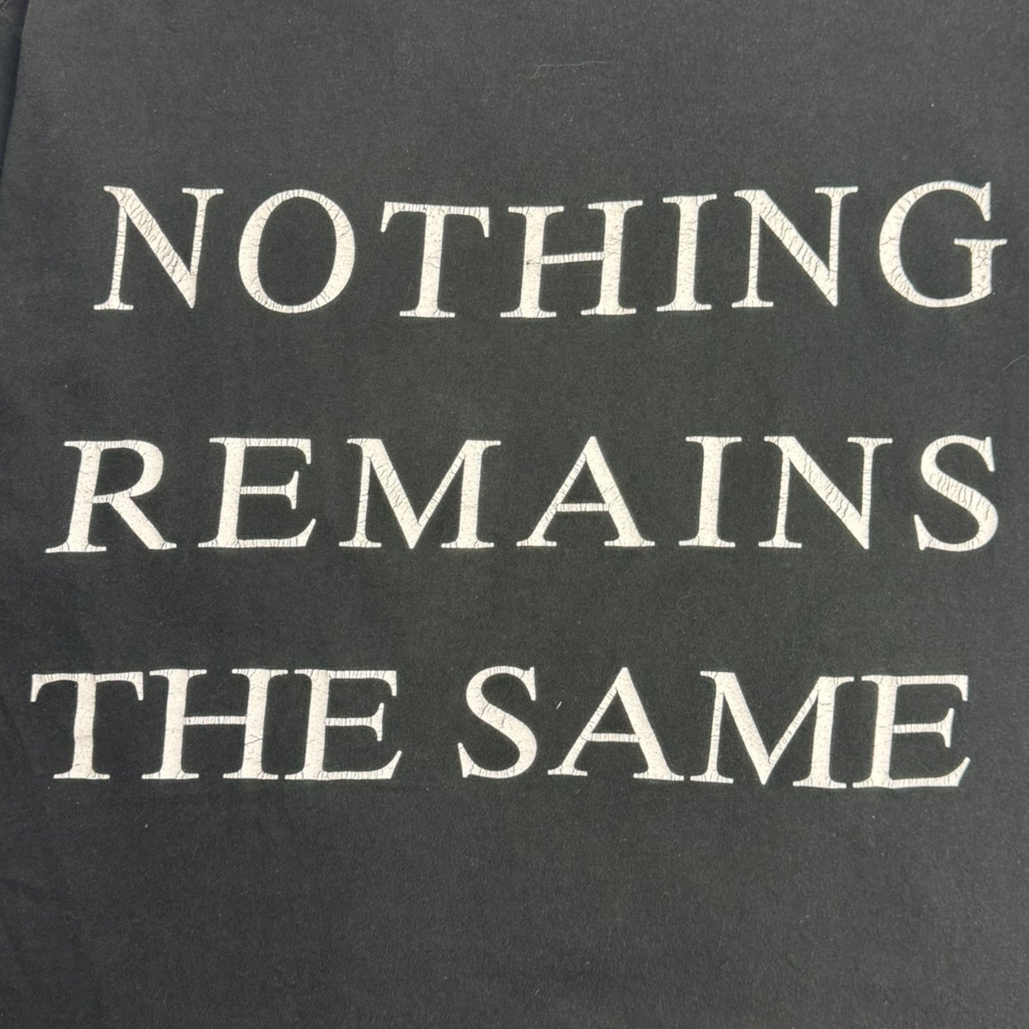 Vintage Pain “Nothing Remains The Same” Band T-Shirt