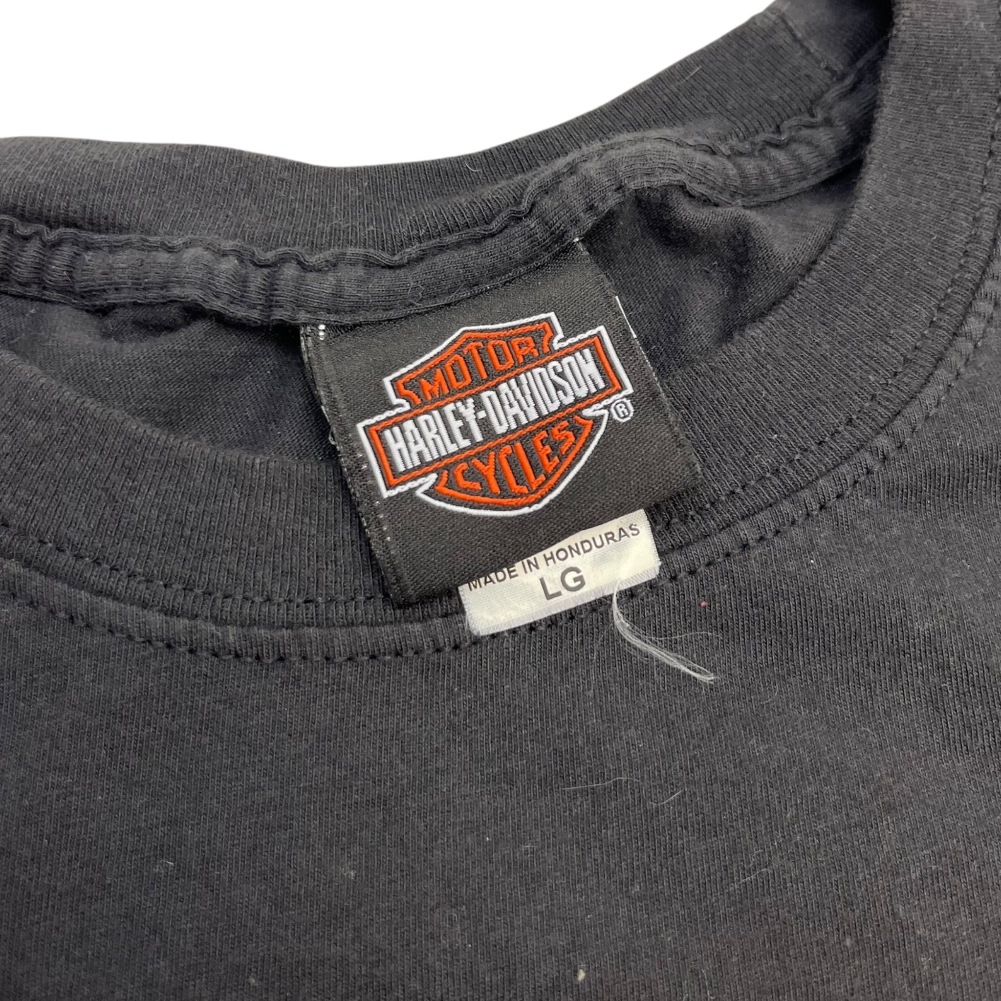 2008 Harley Davidson "Ride With Pride" Gaylord Michigan T-Shirt