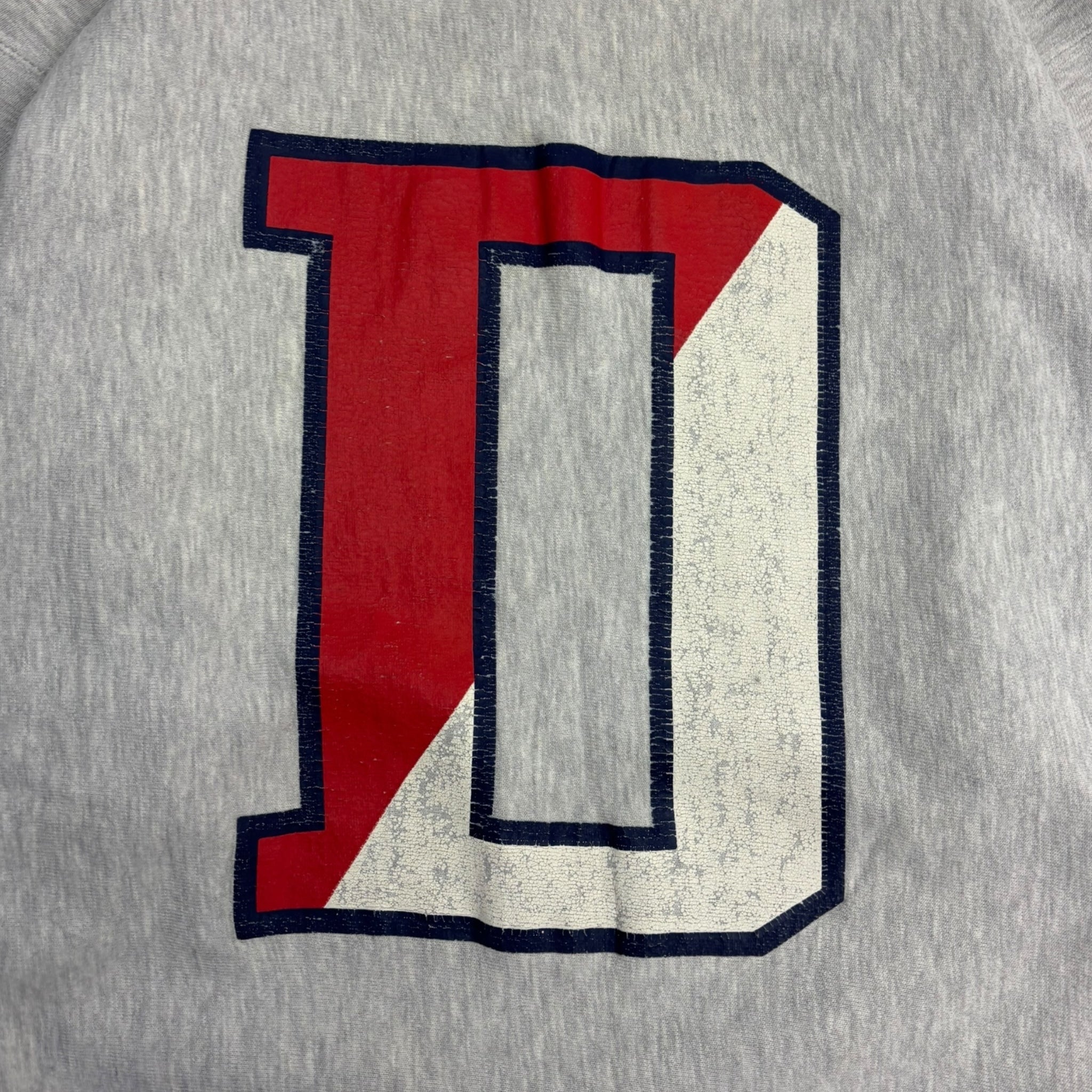 Vintage University Of Dayton Champion Reverse Weave Crewneck Grey