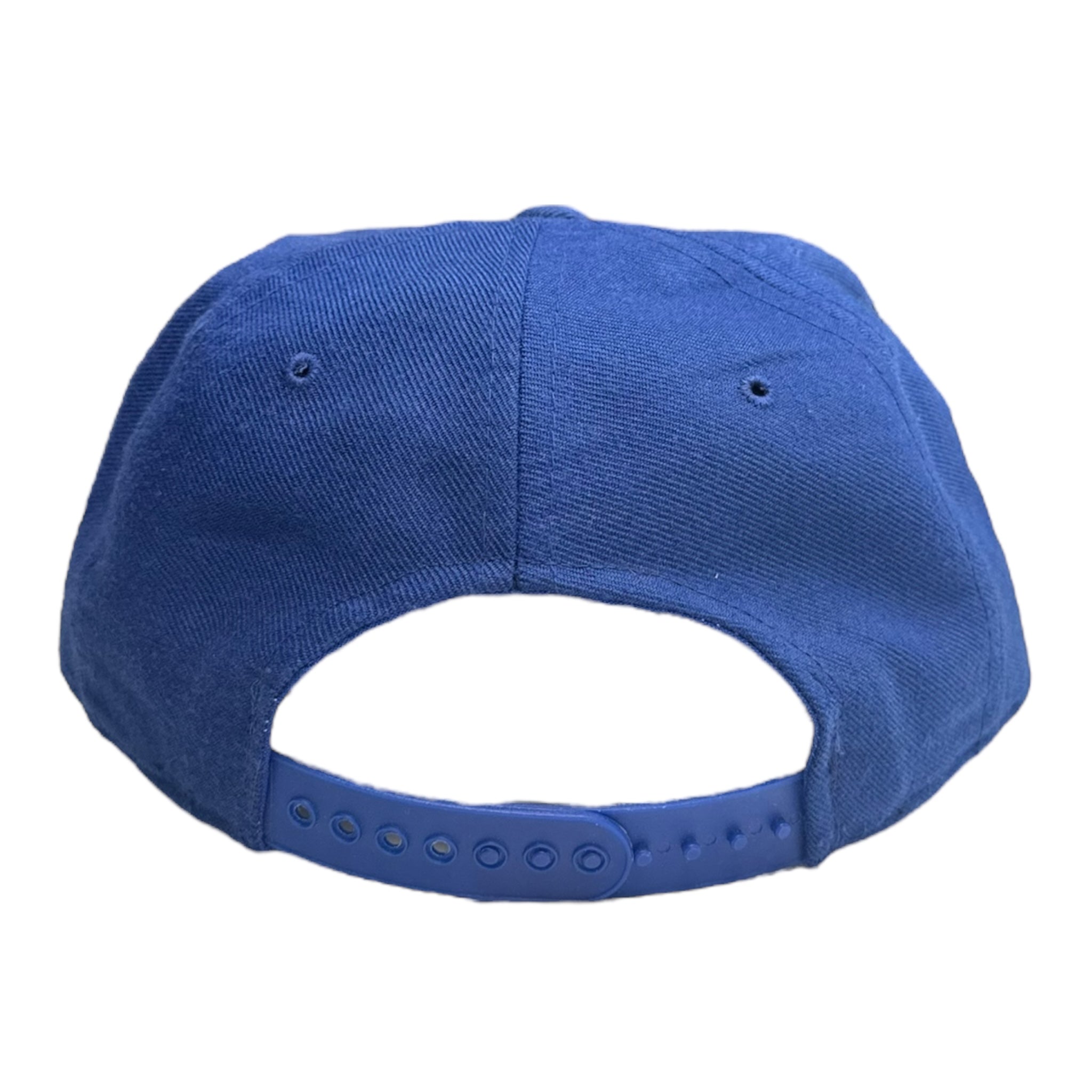 Vintage Toronto Blue Jays New Era Wool MLB Hat