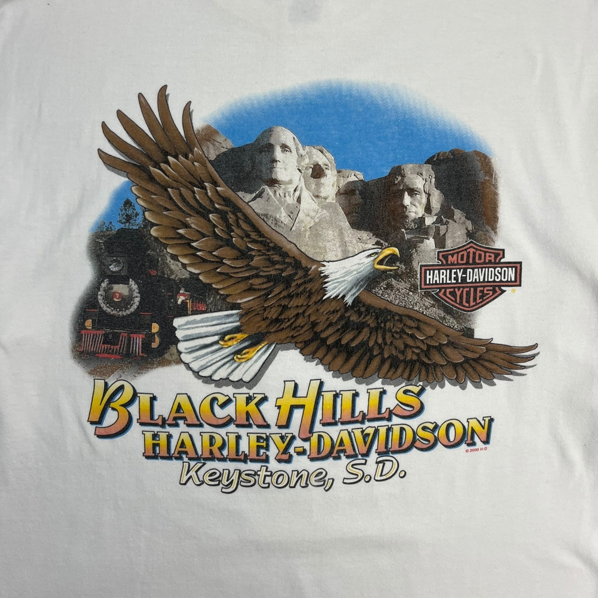 2002 Harley Davidson Black Hills USA Longsleeve T-Shirt
