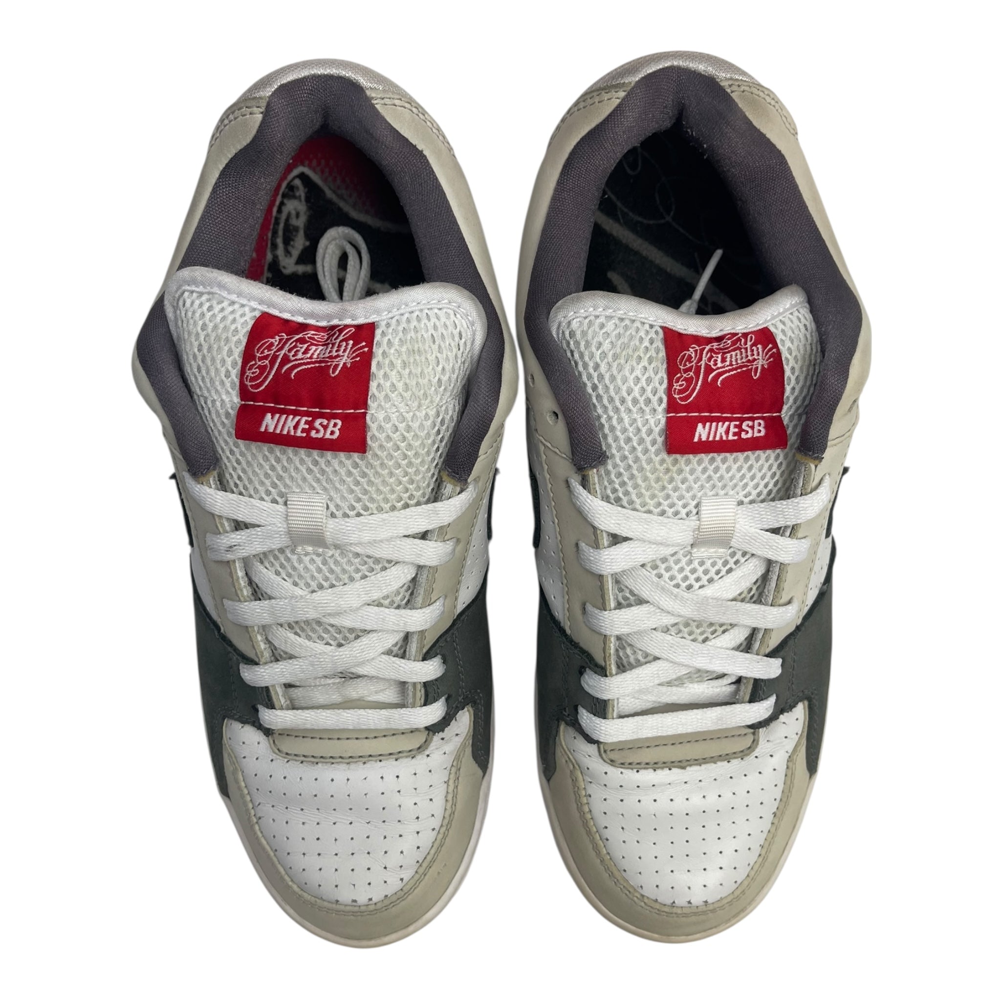 Nike SB Zoom Team Edition Family (Used)