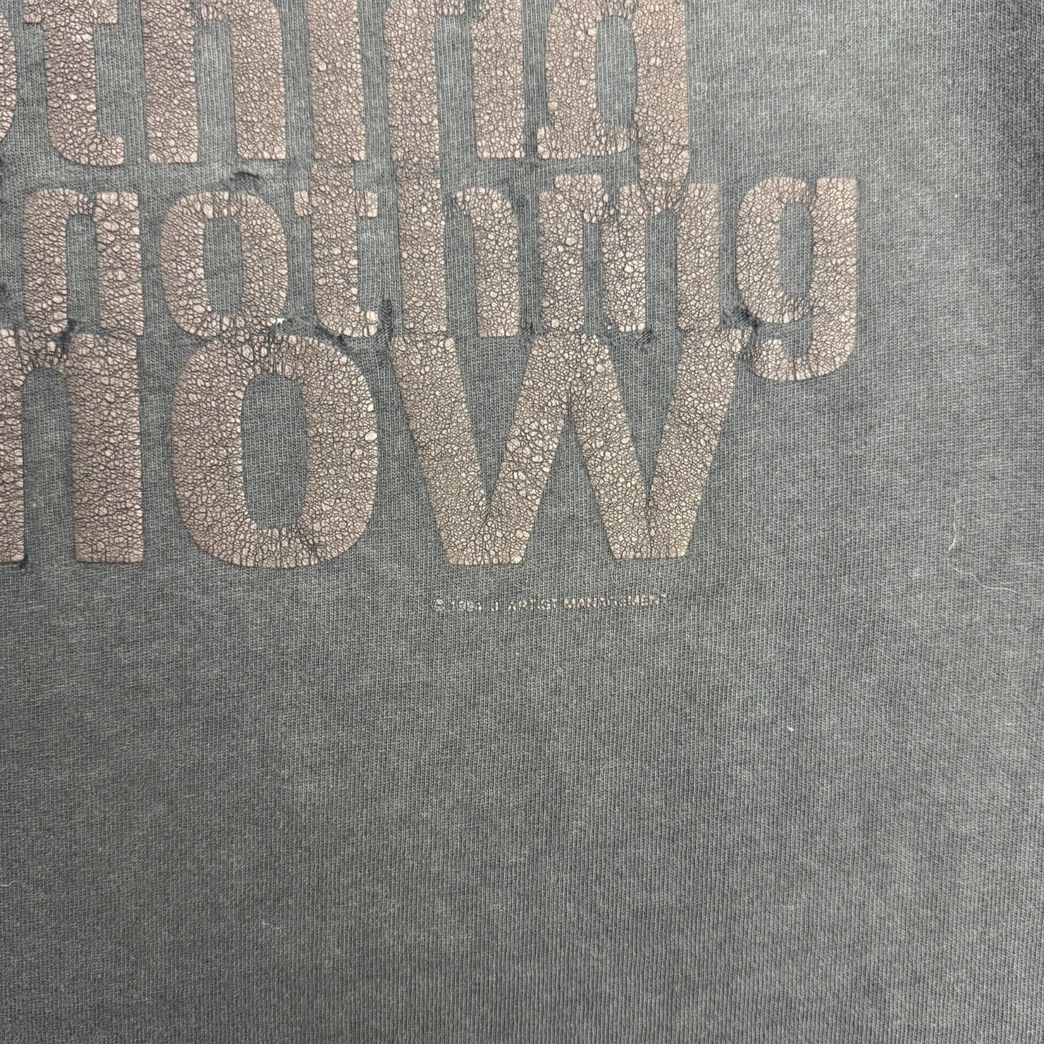 1994 Nine Inch Nails “Now I’m Nothing” T-Shirt
