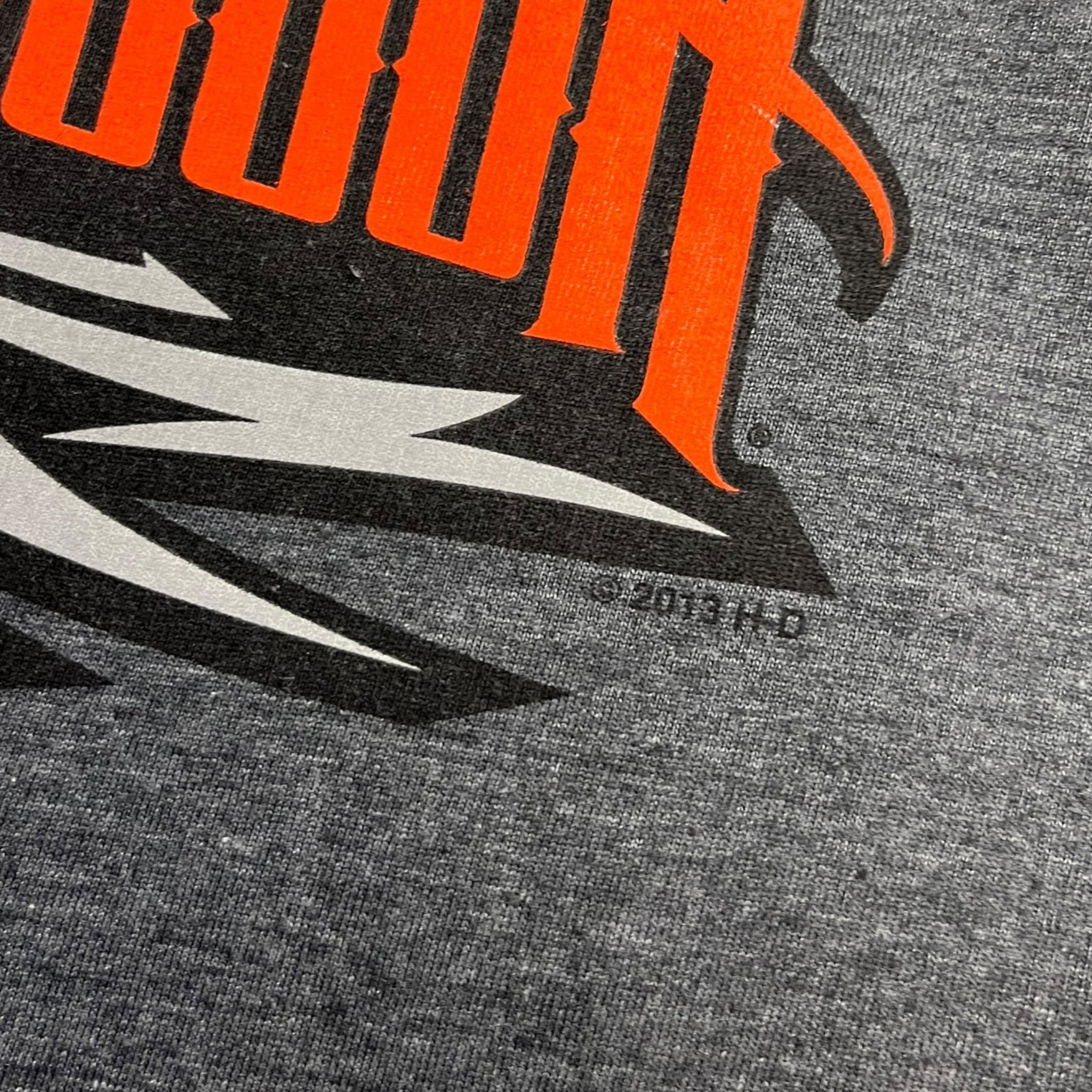 Harley Davidson Buffalo & Northern Lights Longsleeve T-Shirt