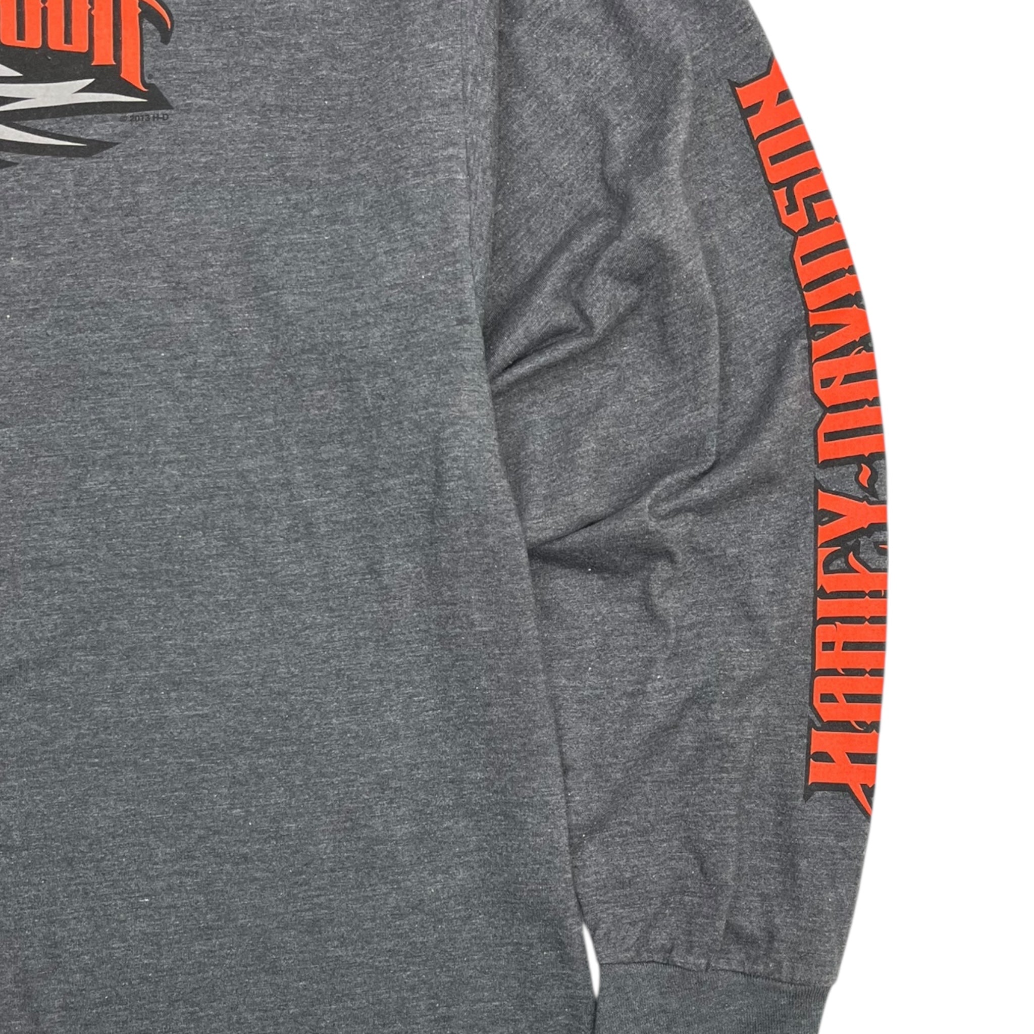 Harley Davidson Buffalo & Northern Lights Longsleeve T-Shirt