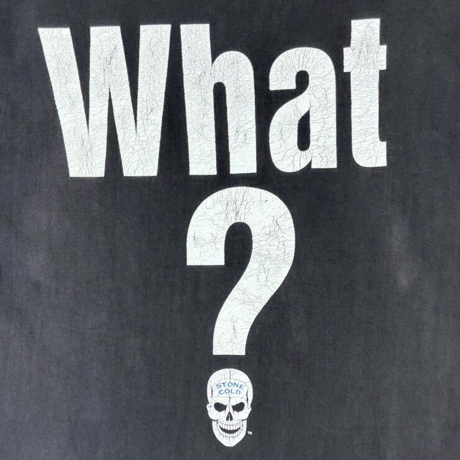 Vintage 2002 WWF “What?” Stone Cold Steve Austin T-Shirt Black
