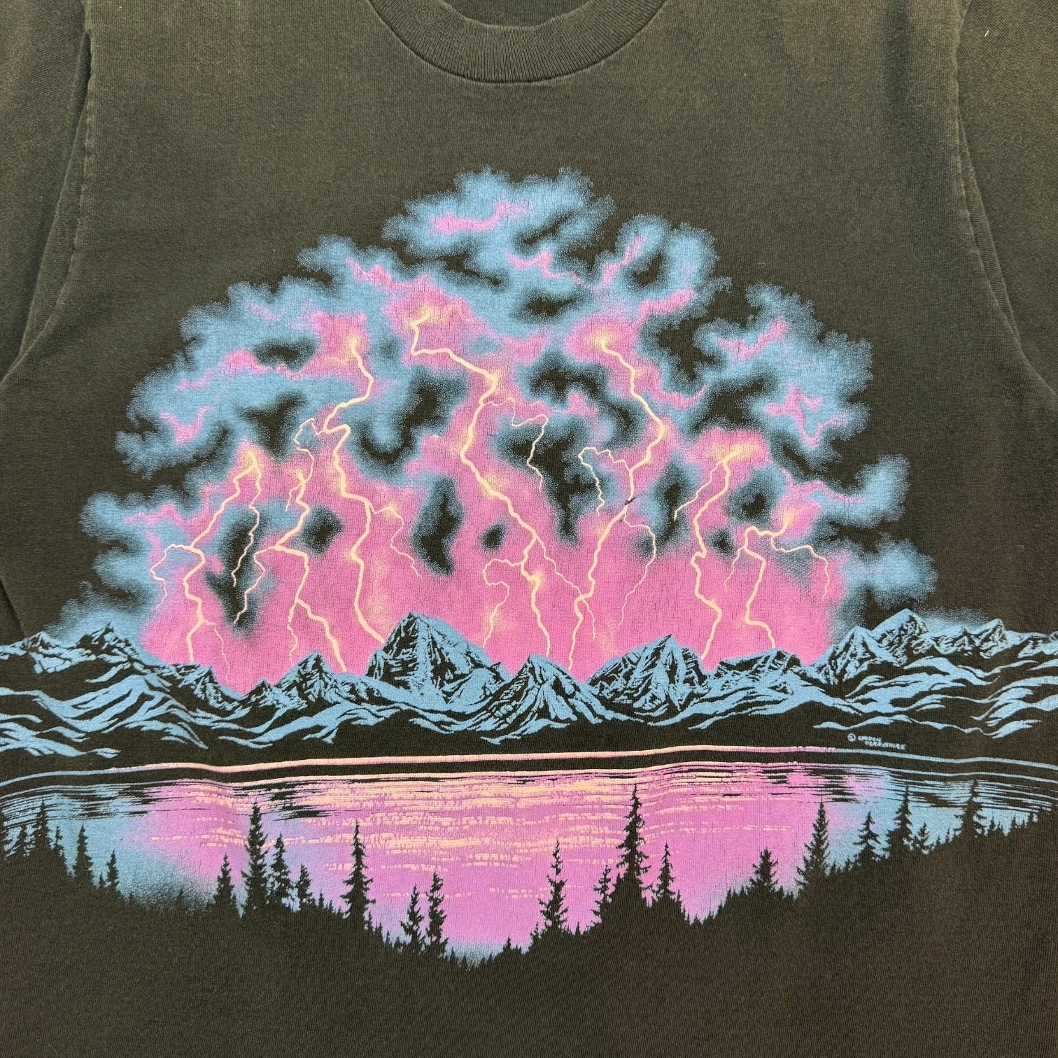 1980s Salmon Arm British Columbia Wolves Tee Black