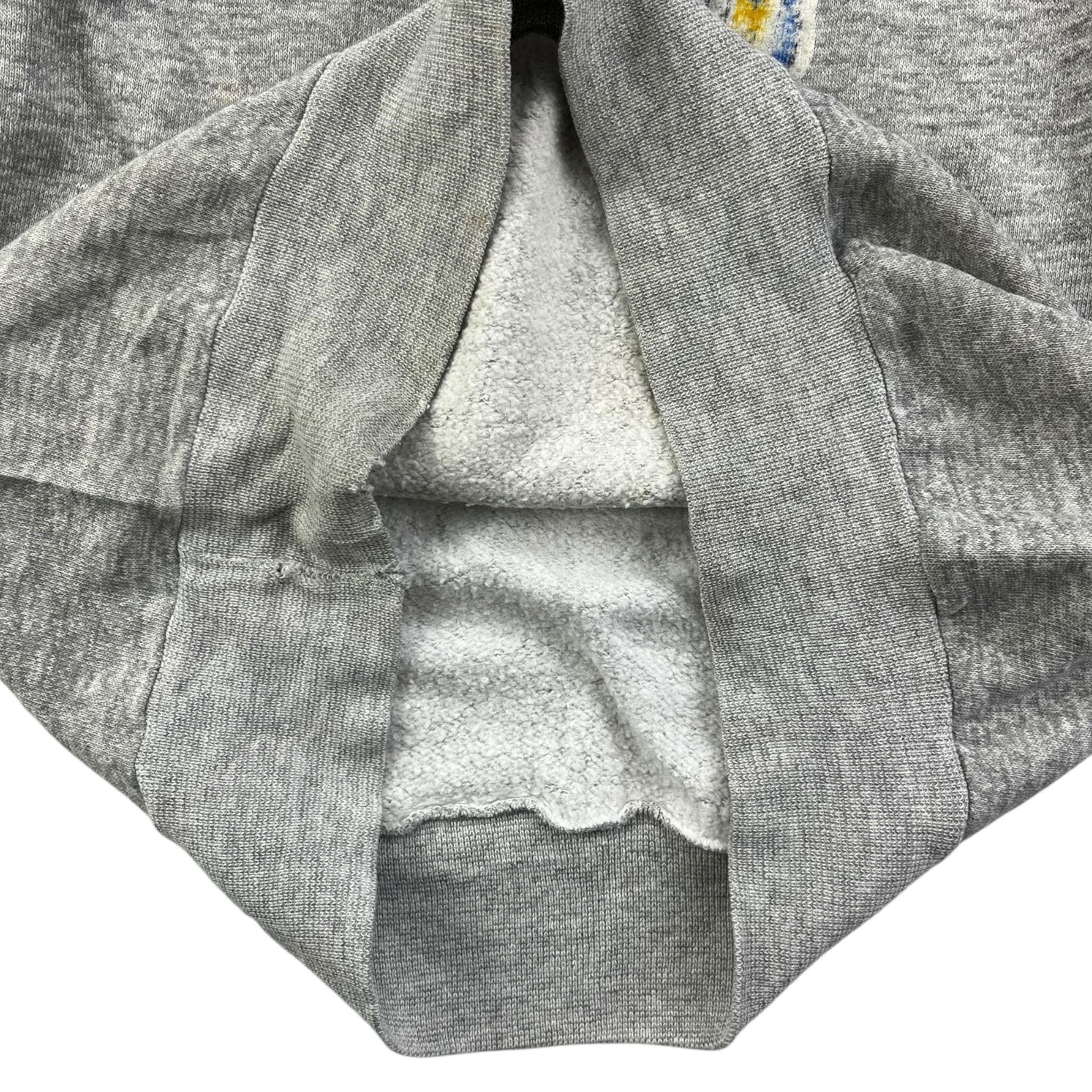 Vintage Carleton College Raglan Sleeve Champion Sweatshirt