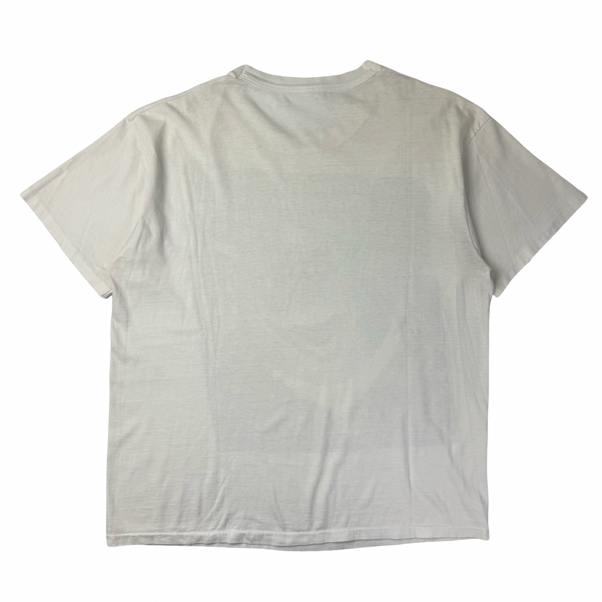 Vintage Dinosaurs ‘Crummy Times’ T-Shirt