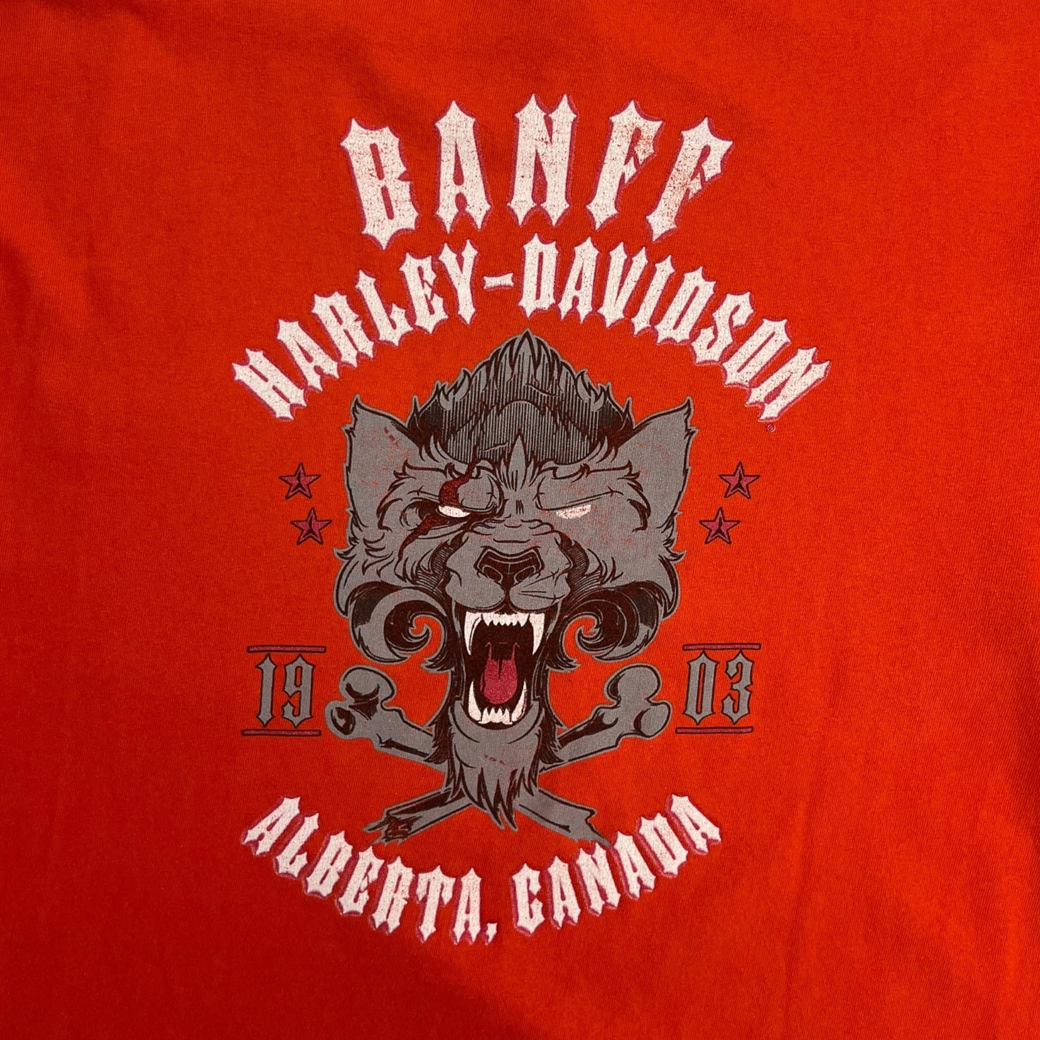 Harley Davidson Flame Longsleeve T-Shirt Orange