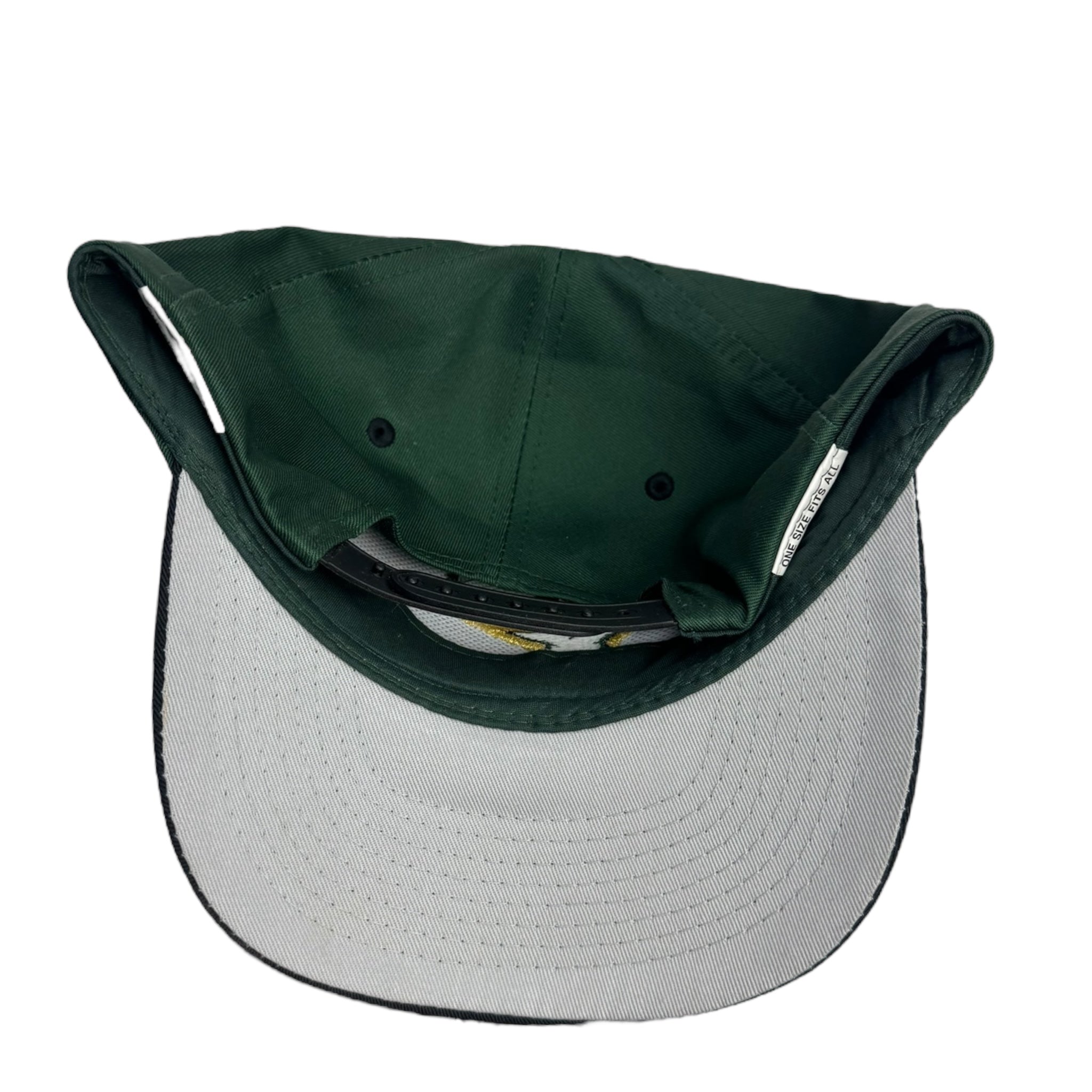 Vintage Dallas Stars Logo Athletic Snap Back Hat