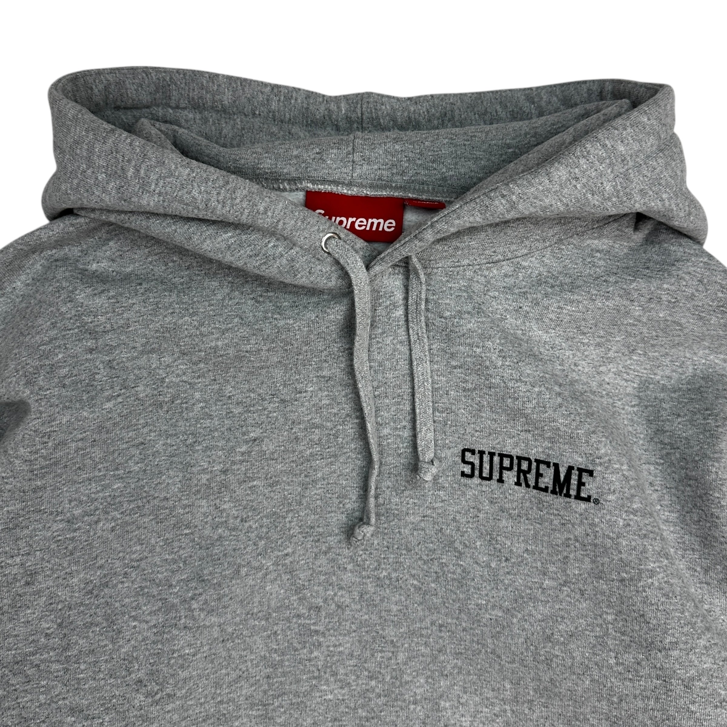 Supreme Anarchy Hoodie Grey/Teal