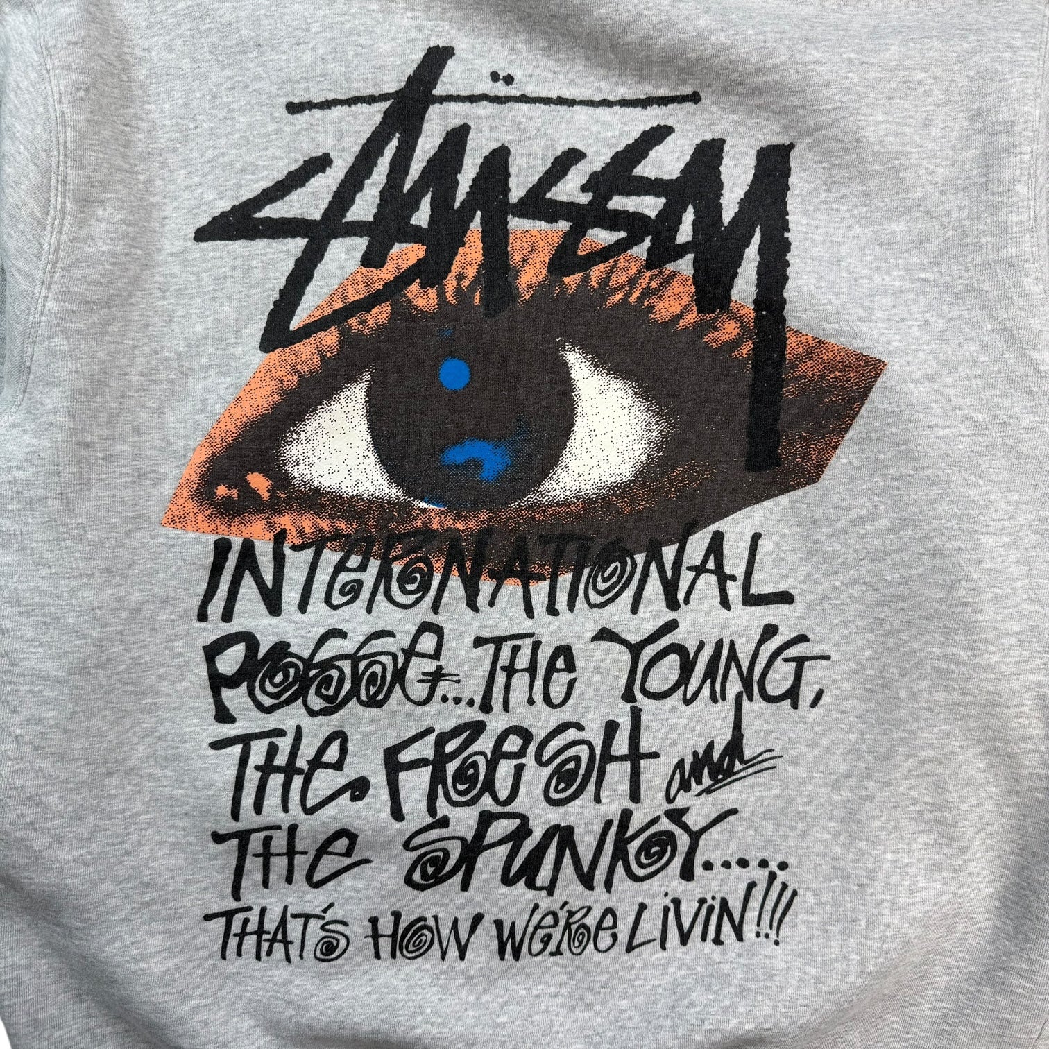 Stussy Ocular Hoodie Grey