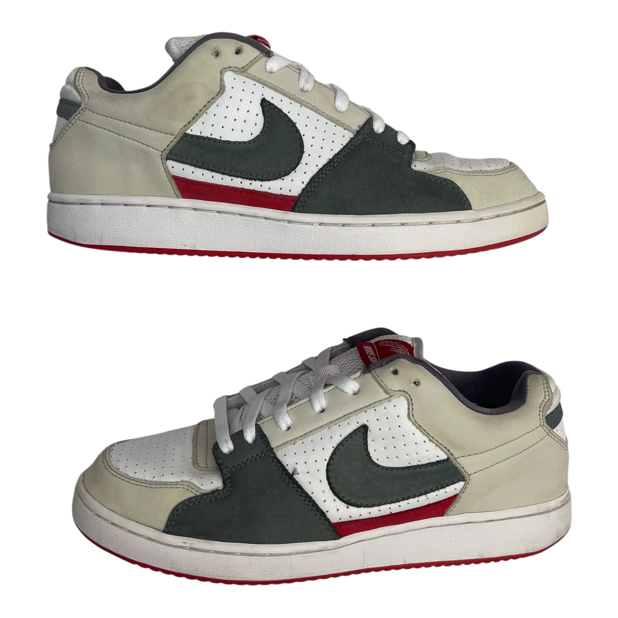 Nike SB Zoom Team Edition Family (Used)