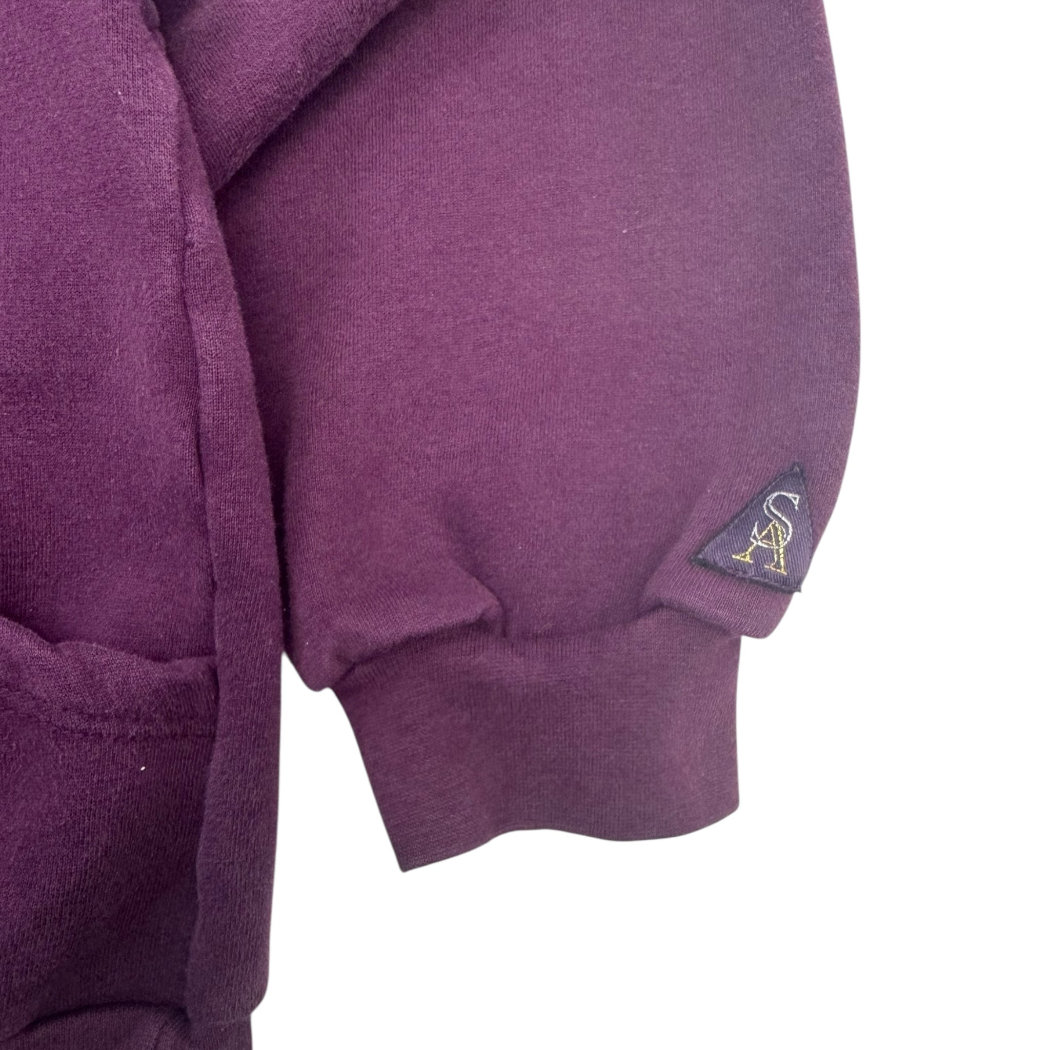 Vintage NHL Anaheim Mighty Ducks Disney Hoodie