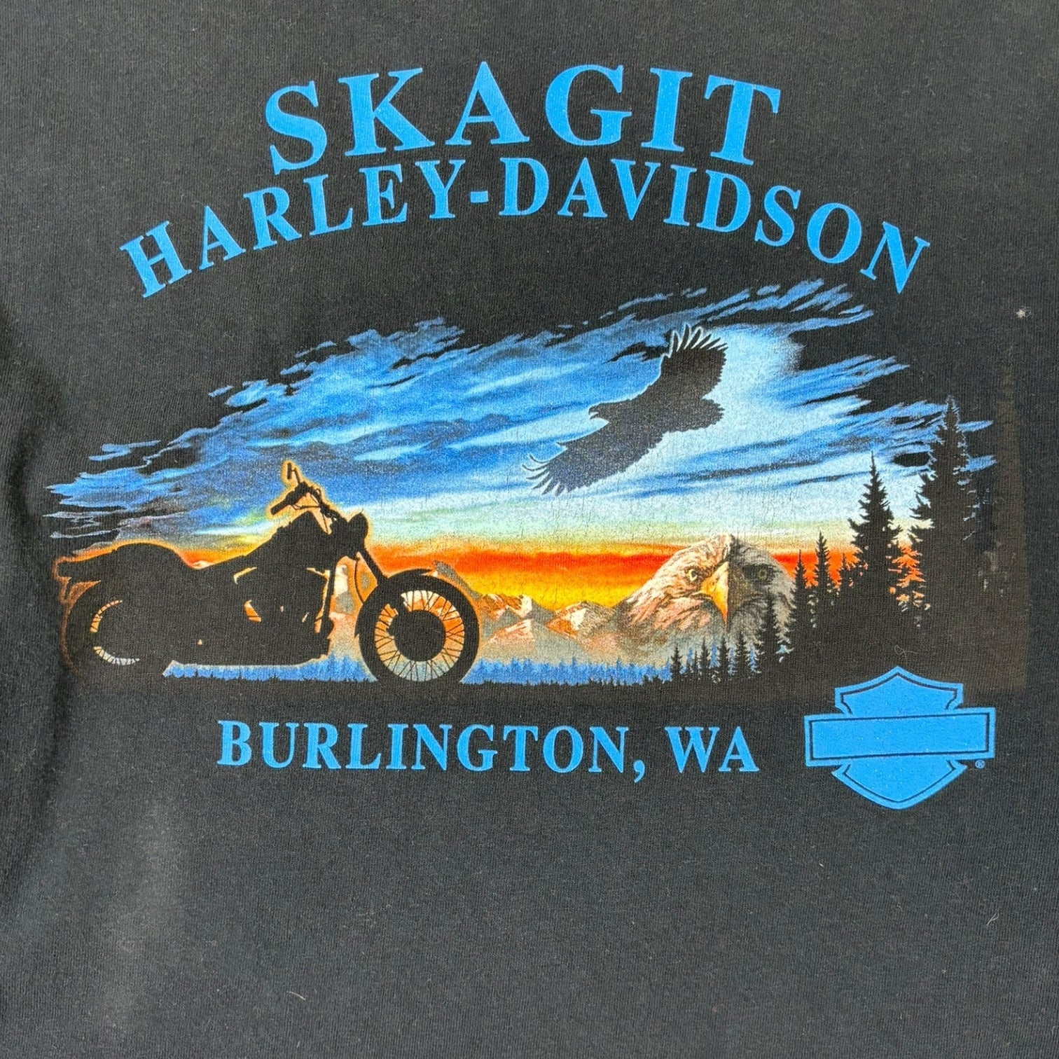 Vintage 2004 Harley Davidson of Burlington WA Long Sleeve T-Shirt Black