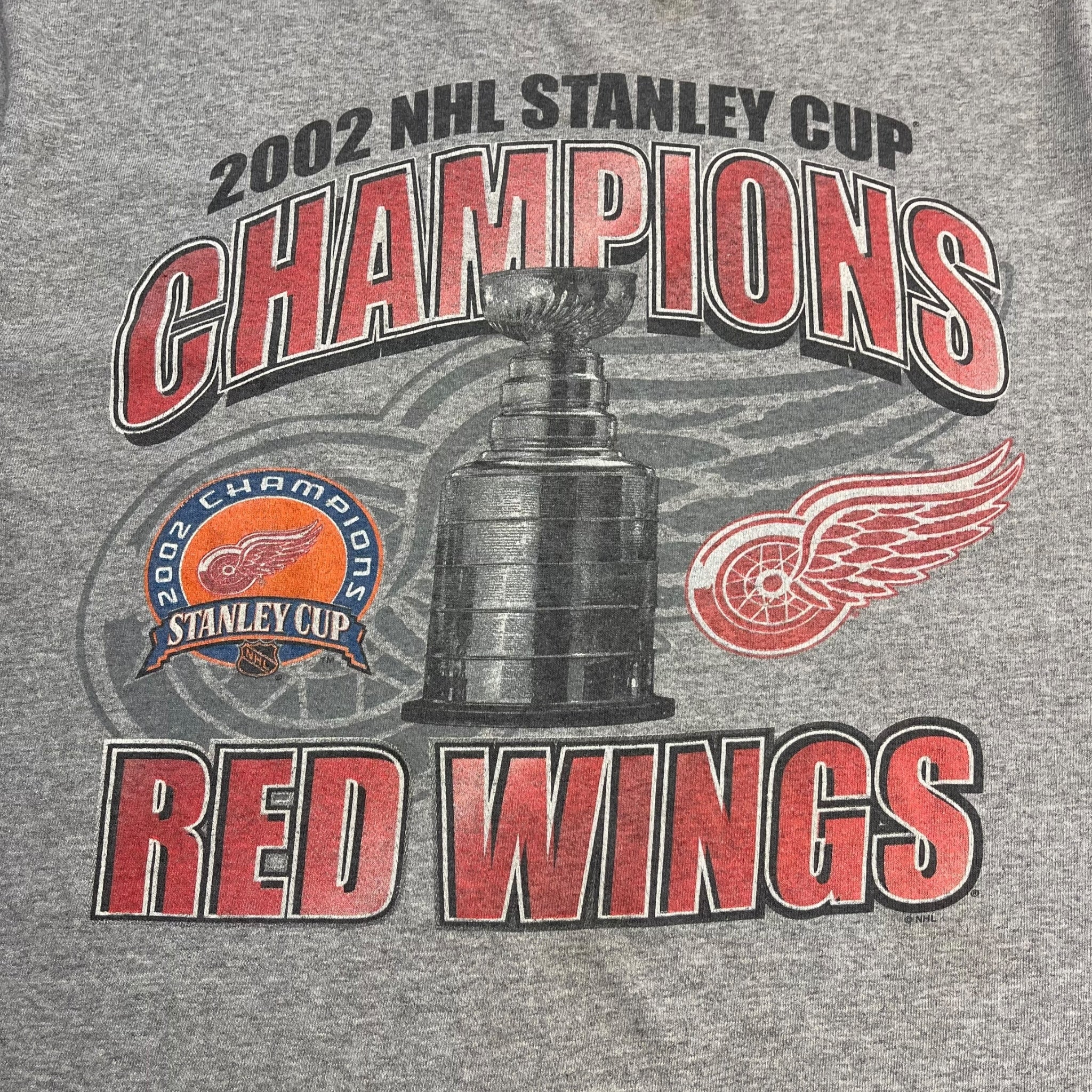2002 Detroit Red Wings Stanley Cup Champions T-Shirt