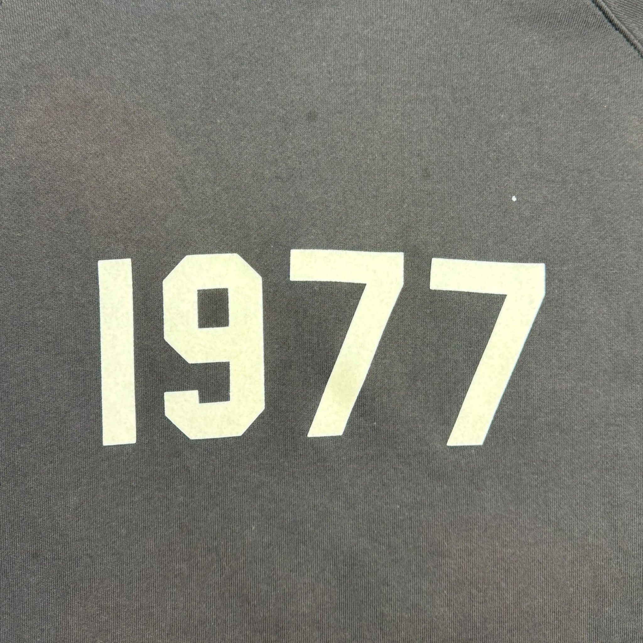 Fear Of God Essentals 1977 Hoodie