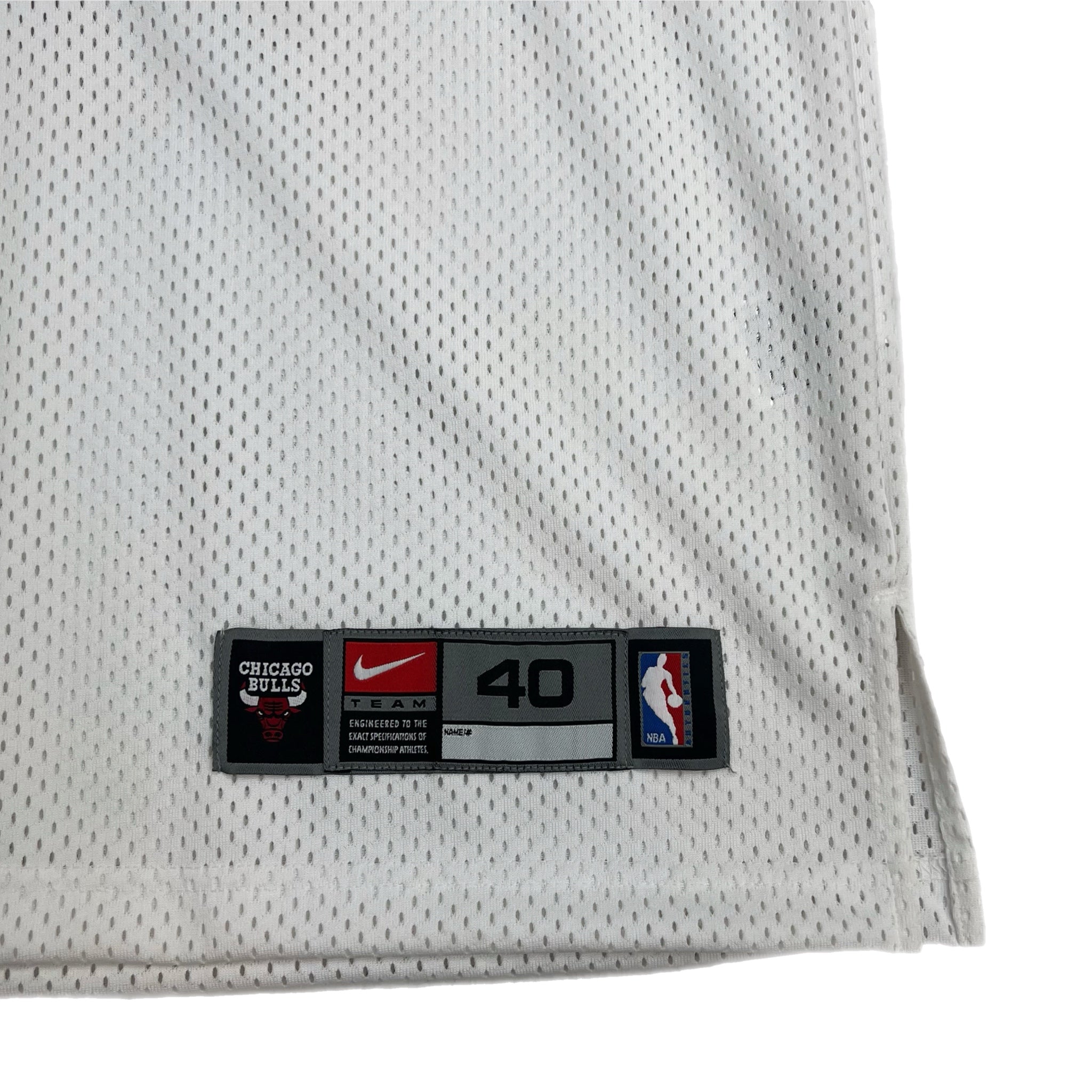 Vintage Chicago Bulls Team Nike Ben Gordon Jersey