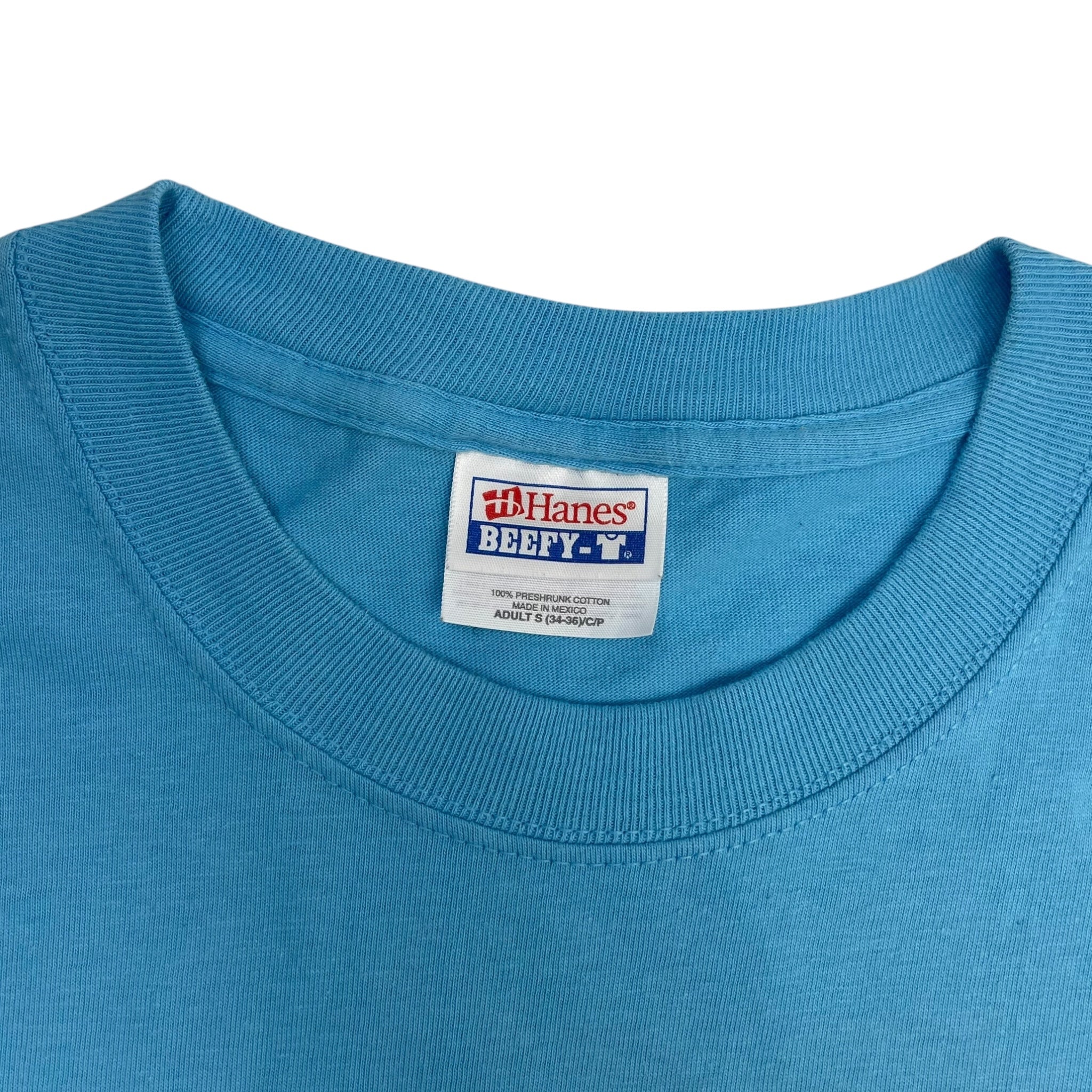 Vintage Descendents All Album T-Shirt Blue