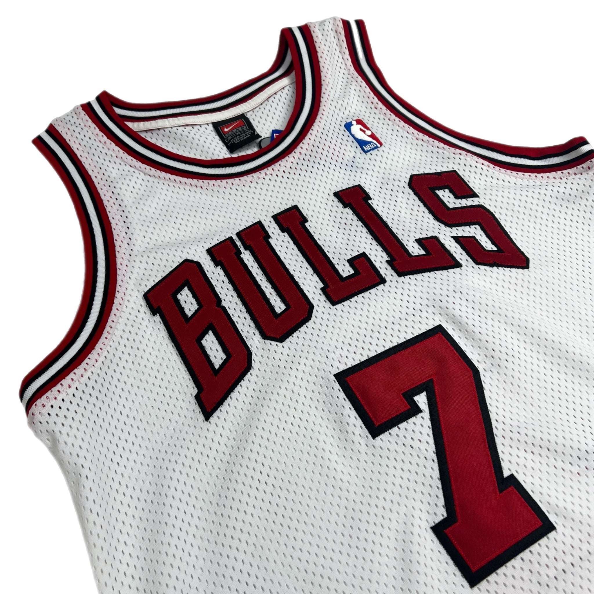 Vintage Chicago Bulls Team Nike Ben Gordon Jersey